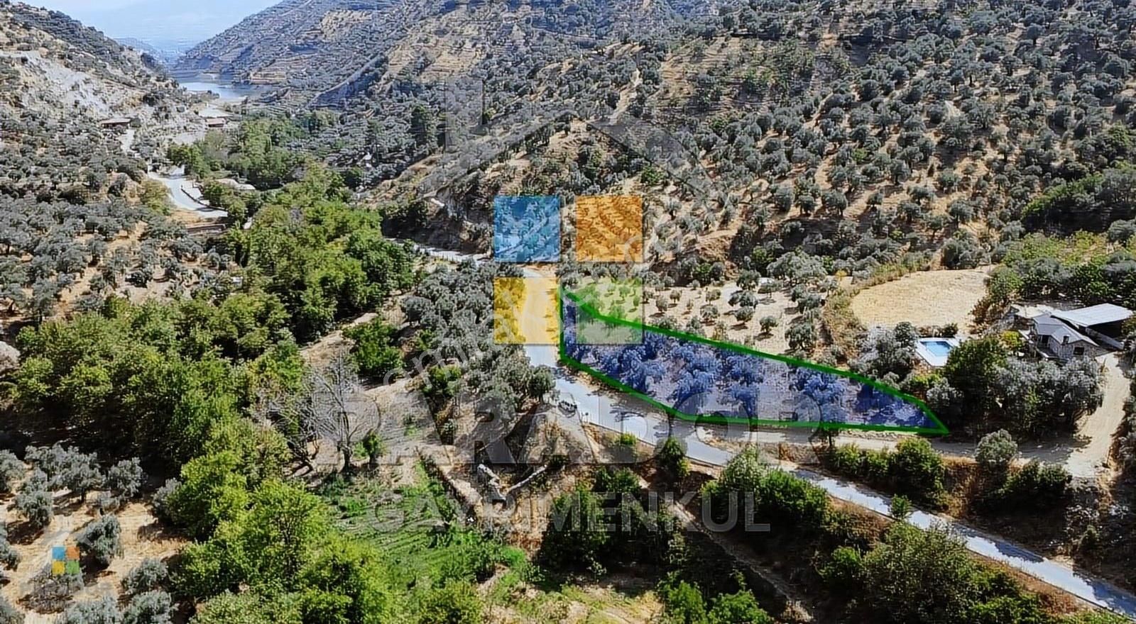 Aydın Sultanhisar Demirhan Mahallesi Satılık 1796 M² Zeytinlik - Görsel 2