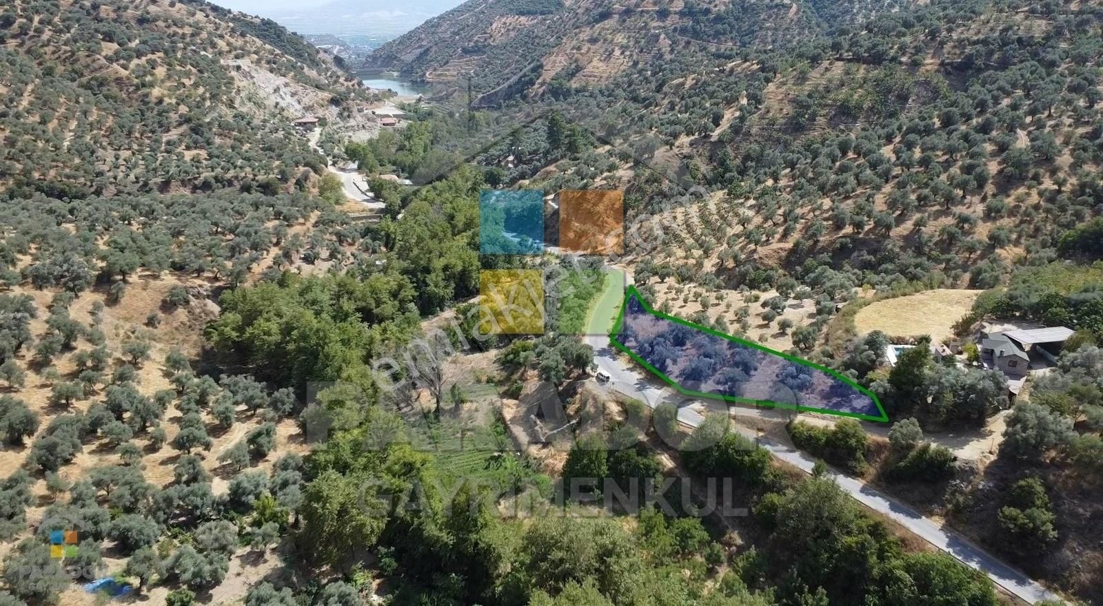 Aydın Sultanhisar Demirhan Mahallesi Satılık 1796 M² Zeytinlik - Görsel 5