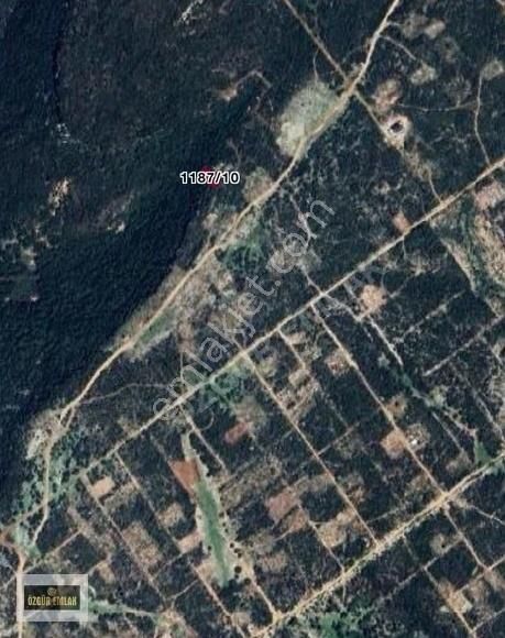 Özgür Emlak'tan Aydın Didim Akyeniköy'de 322m2 Villalık Arsa - Görsel 3