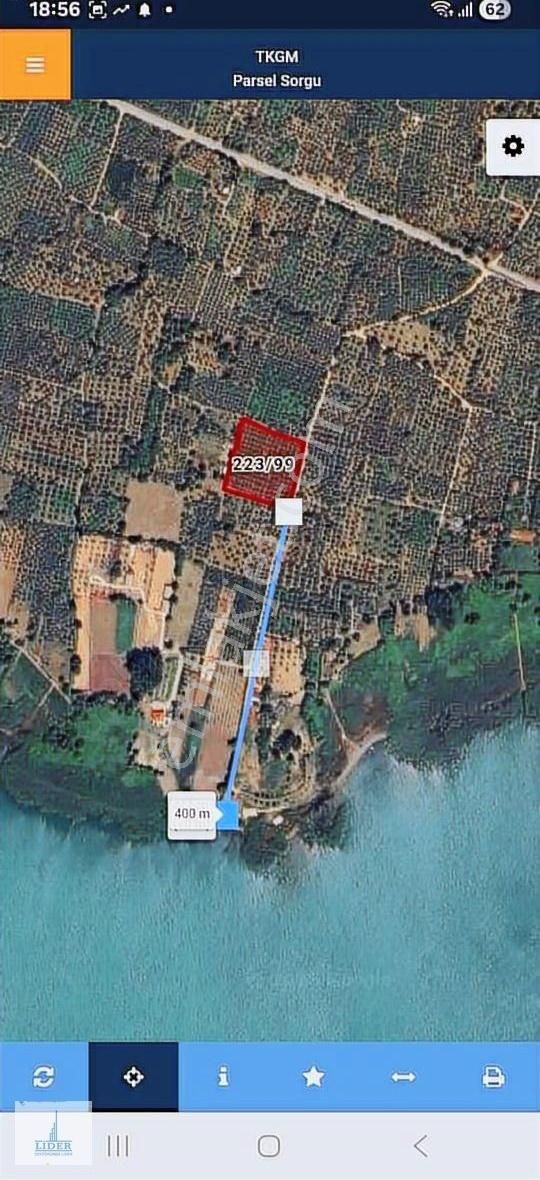 Bursa Orhangazi'de Emsaline Az Rastlanan 7833m2 Süper Zeytinlik