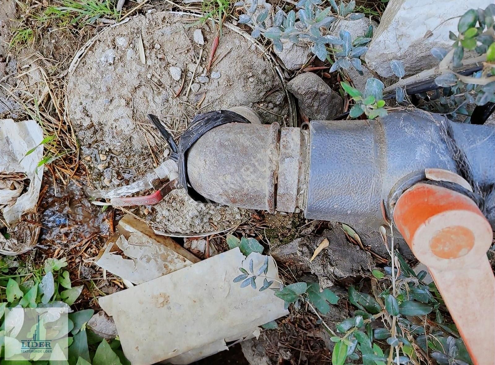 Bursa Orhangazi'de Emsaline Az Rastlanan 7833m2 Süper Zeytinlik - Görsel 19