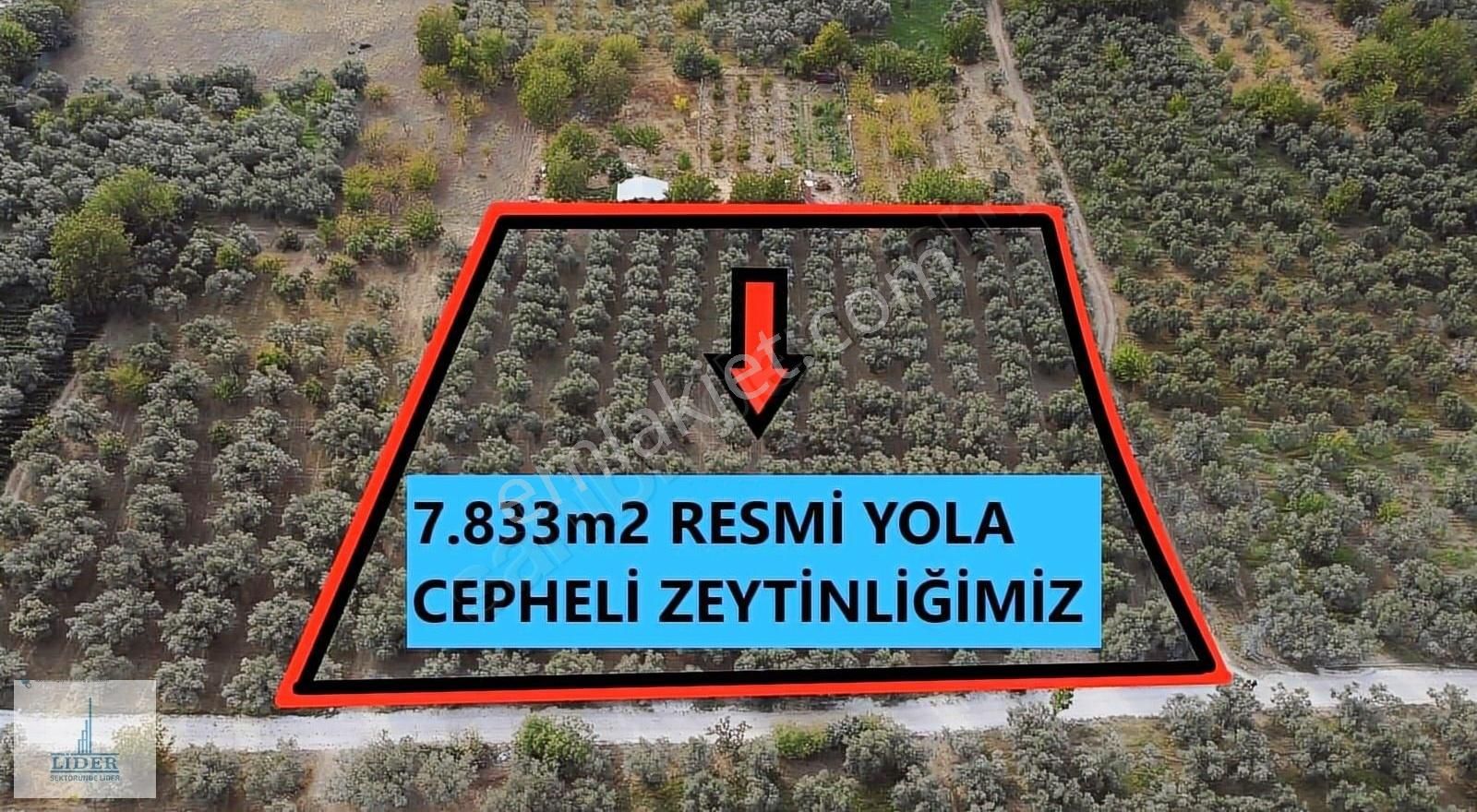 Bursa Orhangazi'de Emsaline Az Rastlanan 7833m2 Süper Zeytinlik - Görsel 17