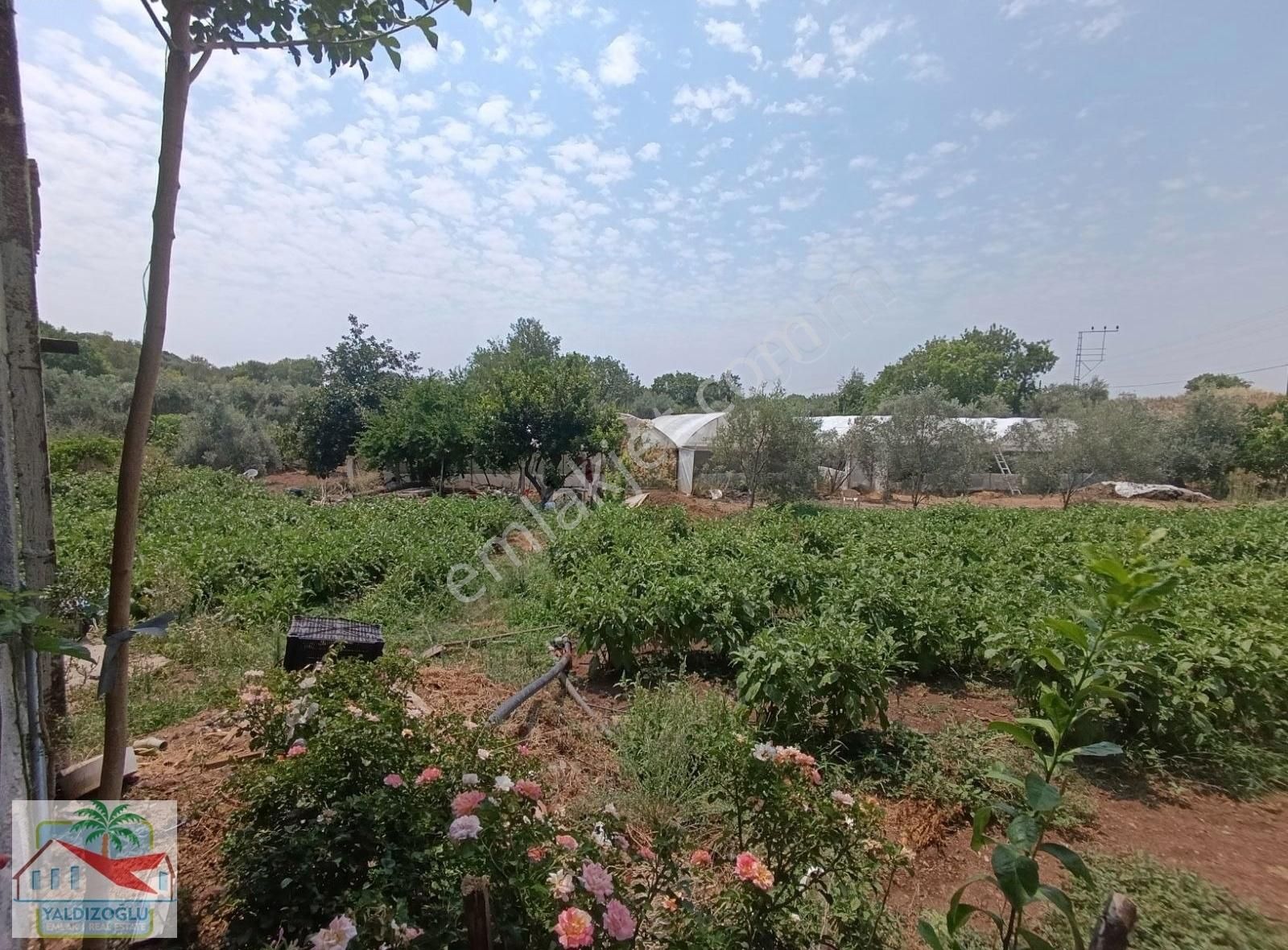 Kevşirlerde 2941 M2 Tarla İçinde Satılık Müstakil Ev - Görsel 18