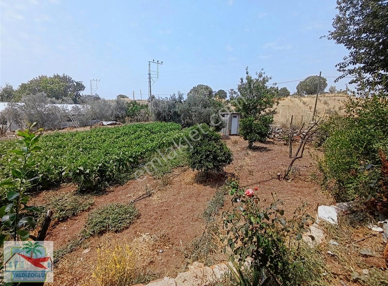 Kevşirlerde 2941 M2 Tarla İçinde Satılık Müstakil Ev - Görsel 4