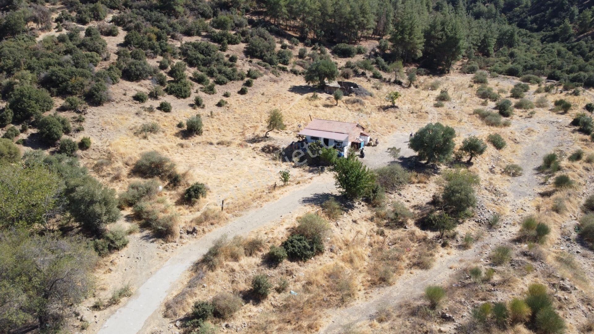 ✅ Nazilli Dualarda Eşsiz Manzaralı Havadar İmarlı Köy Evi ✅ - Görsel 5