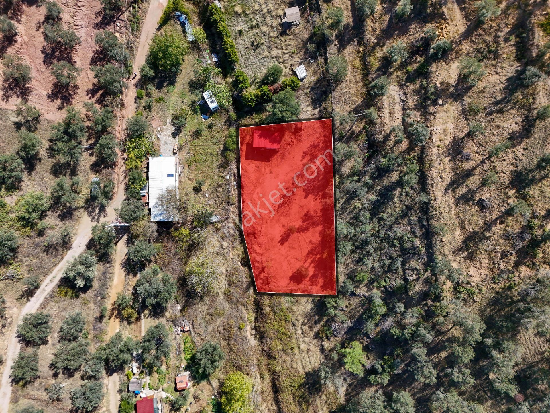 Balıkesir Burhaniye Pelitköy De Satılık Bahçe - Görsel 3