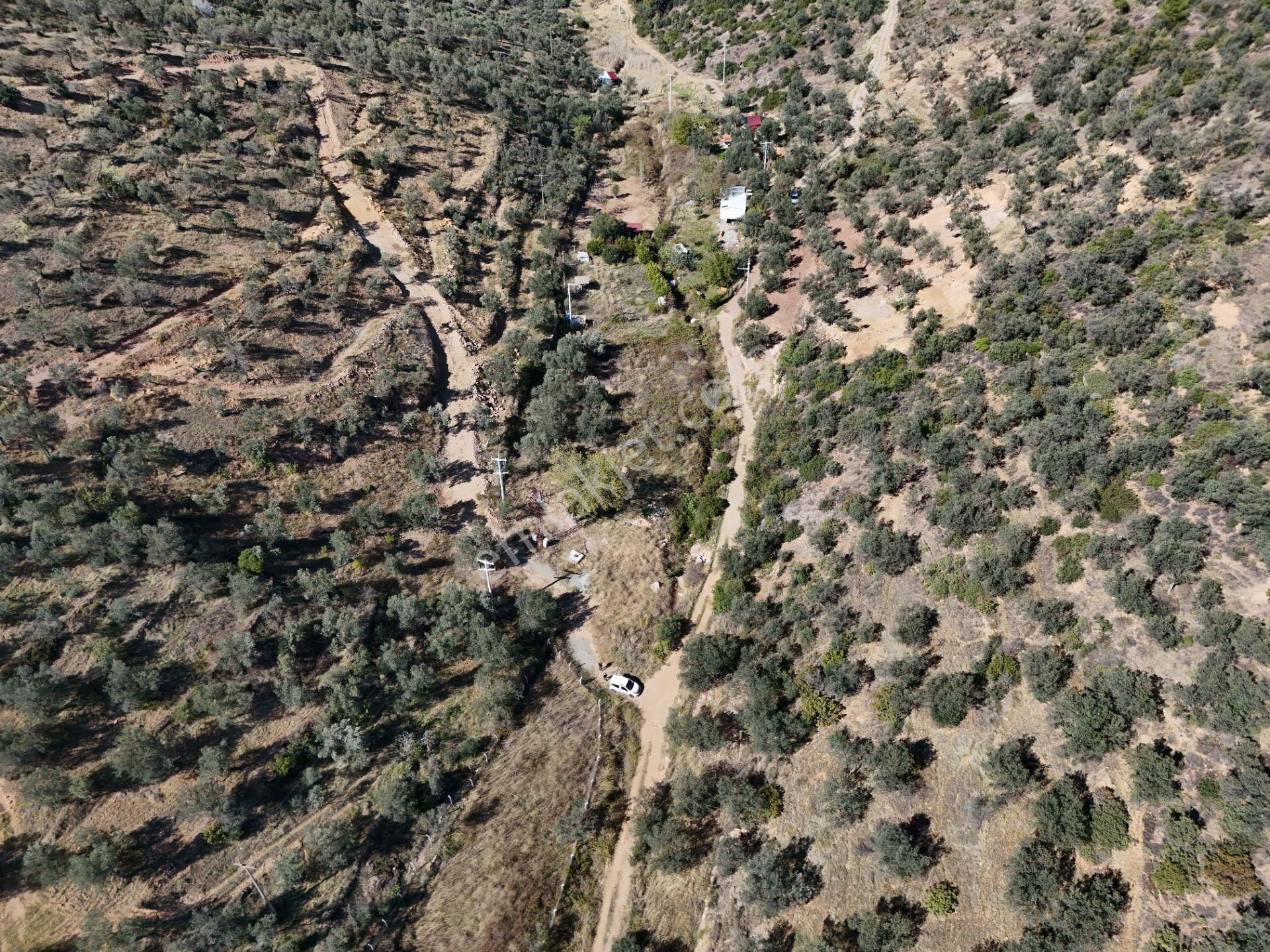 Balıkesir Burhaniye Pelitköy De Satılık Bahçe - Görsel 8