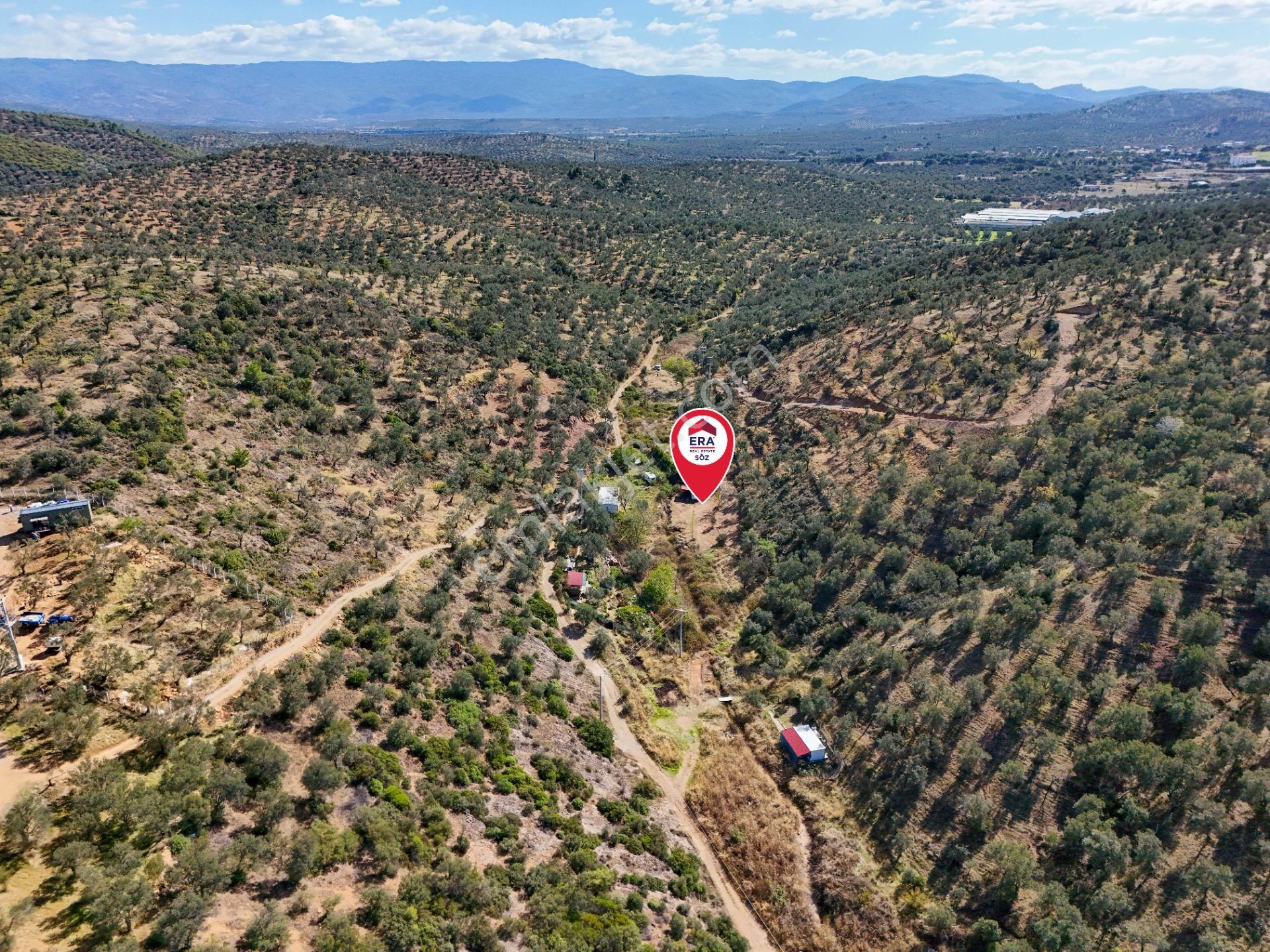 Balıkesir Burhaniye Pelitköy De Satılık Bahçe - Görsel 9
