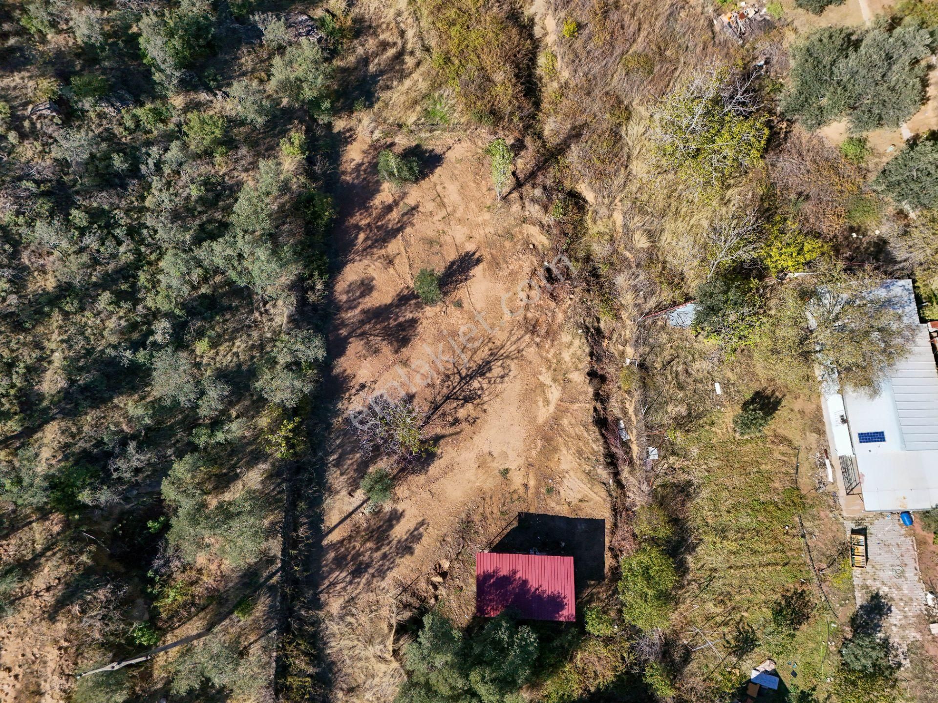 Balıkesir Burhaniye Pelitköy De Satılık Bahçe - Görsel 5