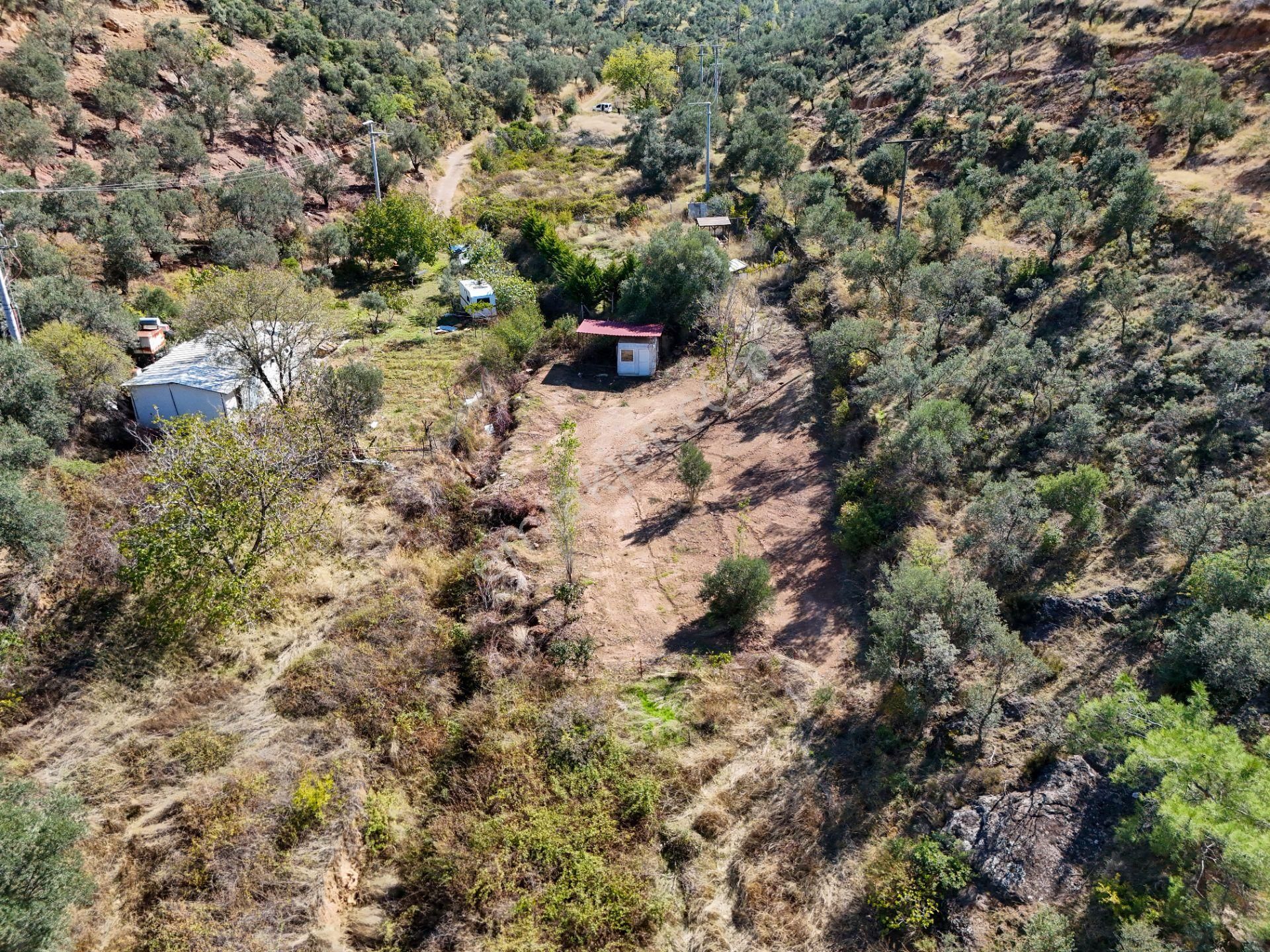 Balıkesir Burhaniye Pelitköy De Satılık Bahçe - Görsel 4