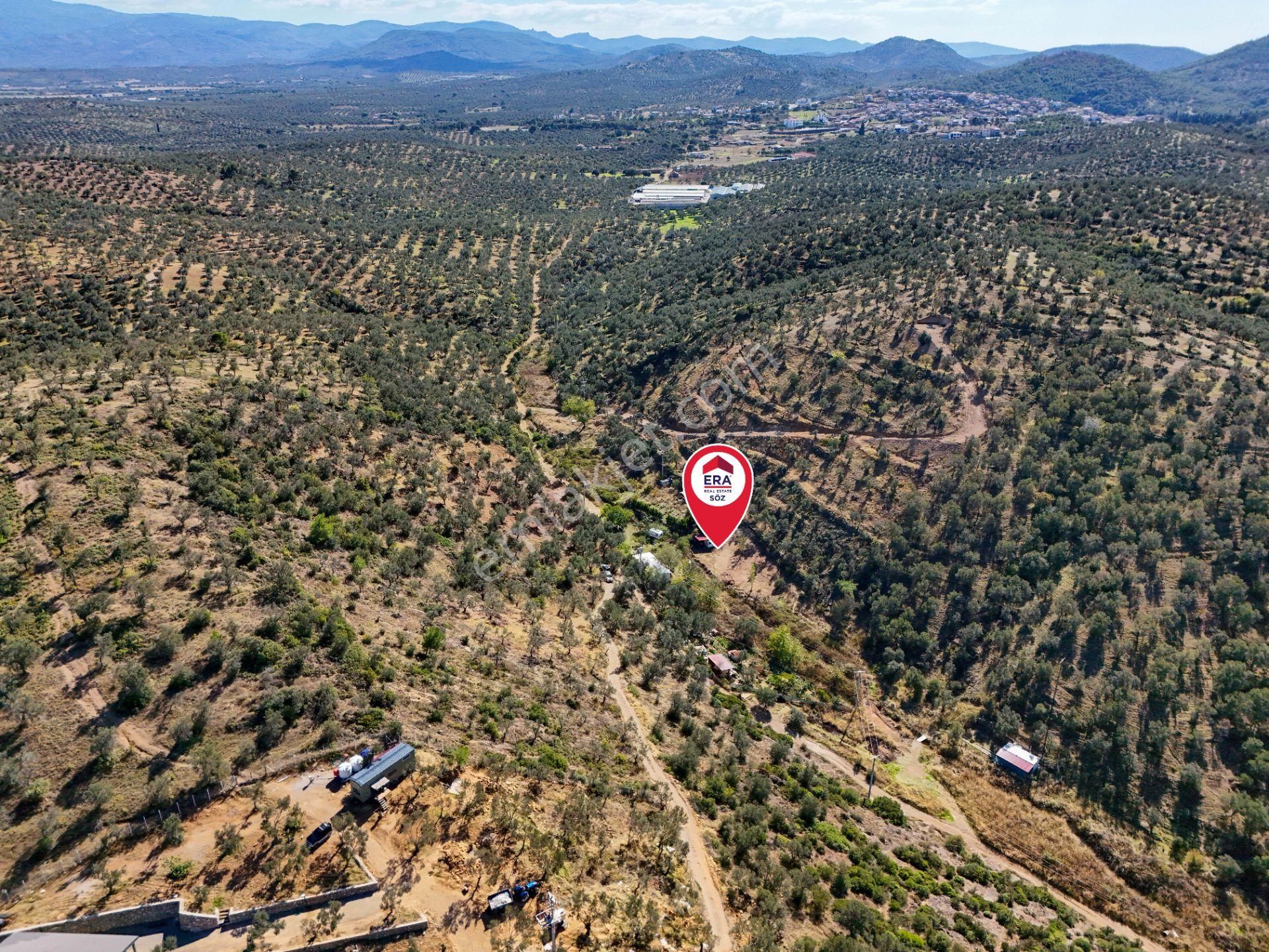 Balıkesir Burhaniye Pelitköy De Satılık Bahçe - Görsel 10