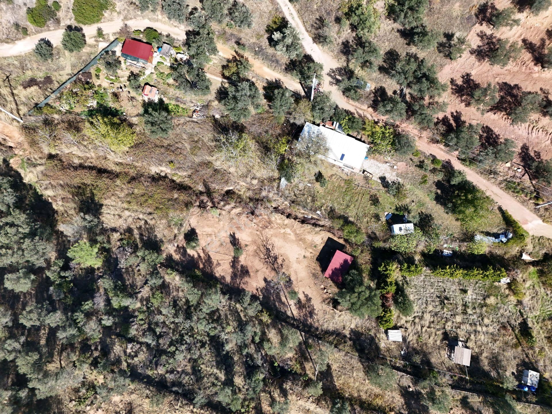 Balıkesir Burhaniye Pelitköy De Satılık Bahçe - Görsel 6