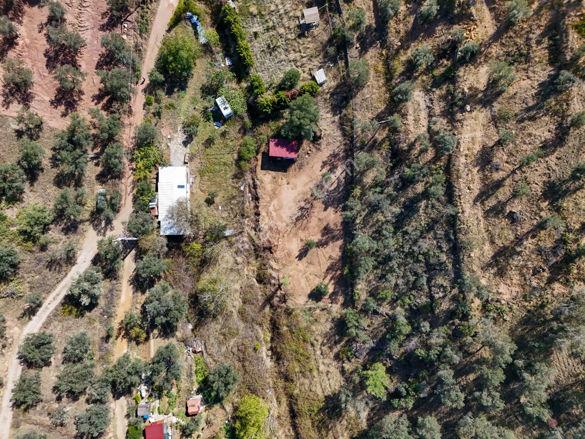 Balıkesir Burhaniye Pelitköy De Satılık Bahçe - Görsel 2
