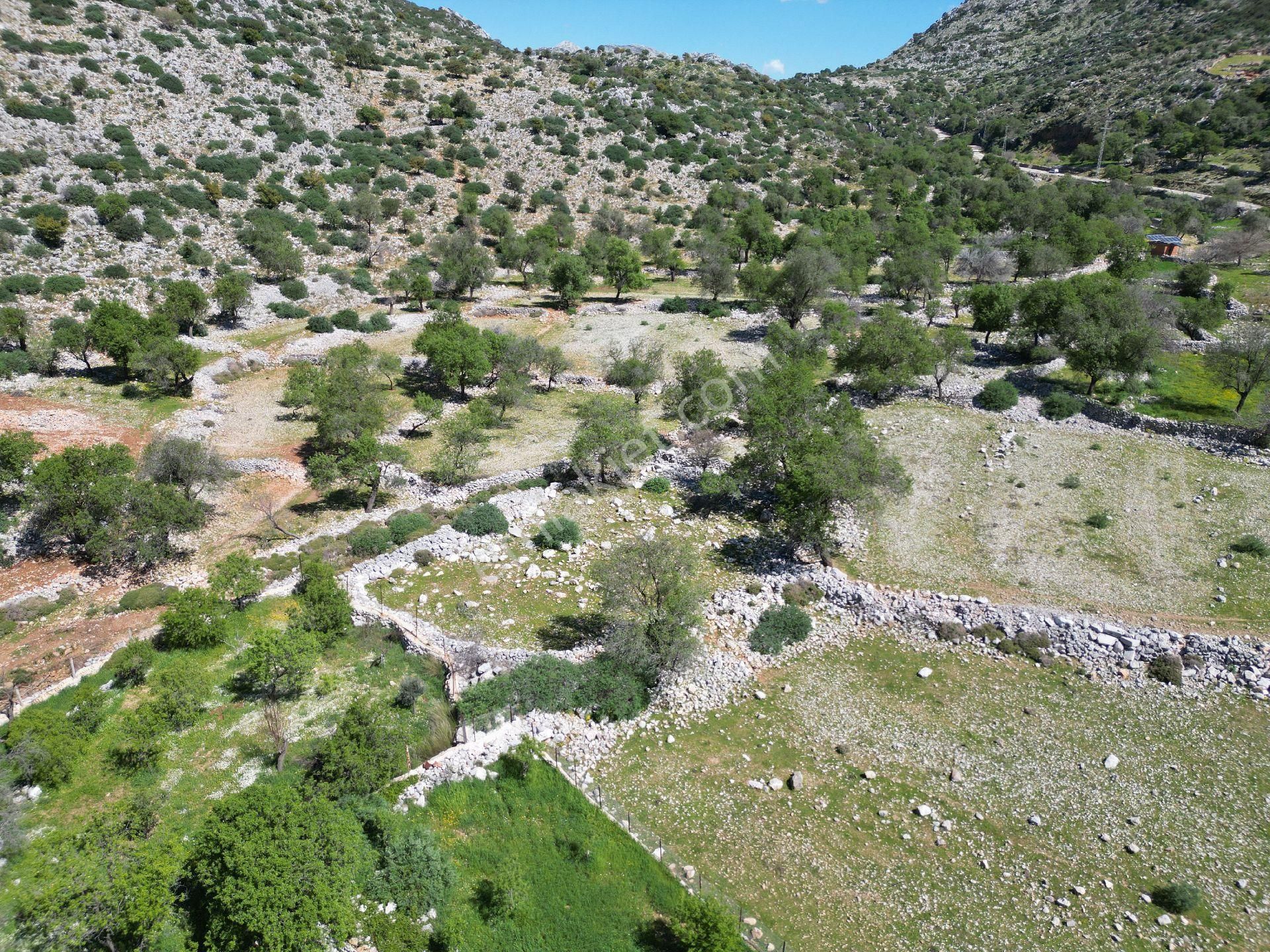 🔷joker: Marmaris Taşlıca Resmi Yol Cepheli Satılık Tarla - Görsel 5