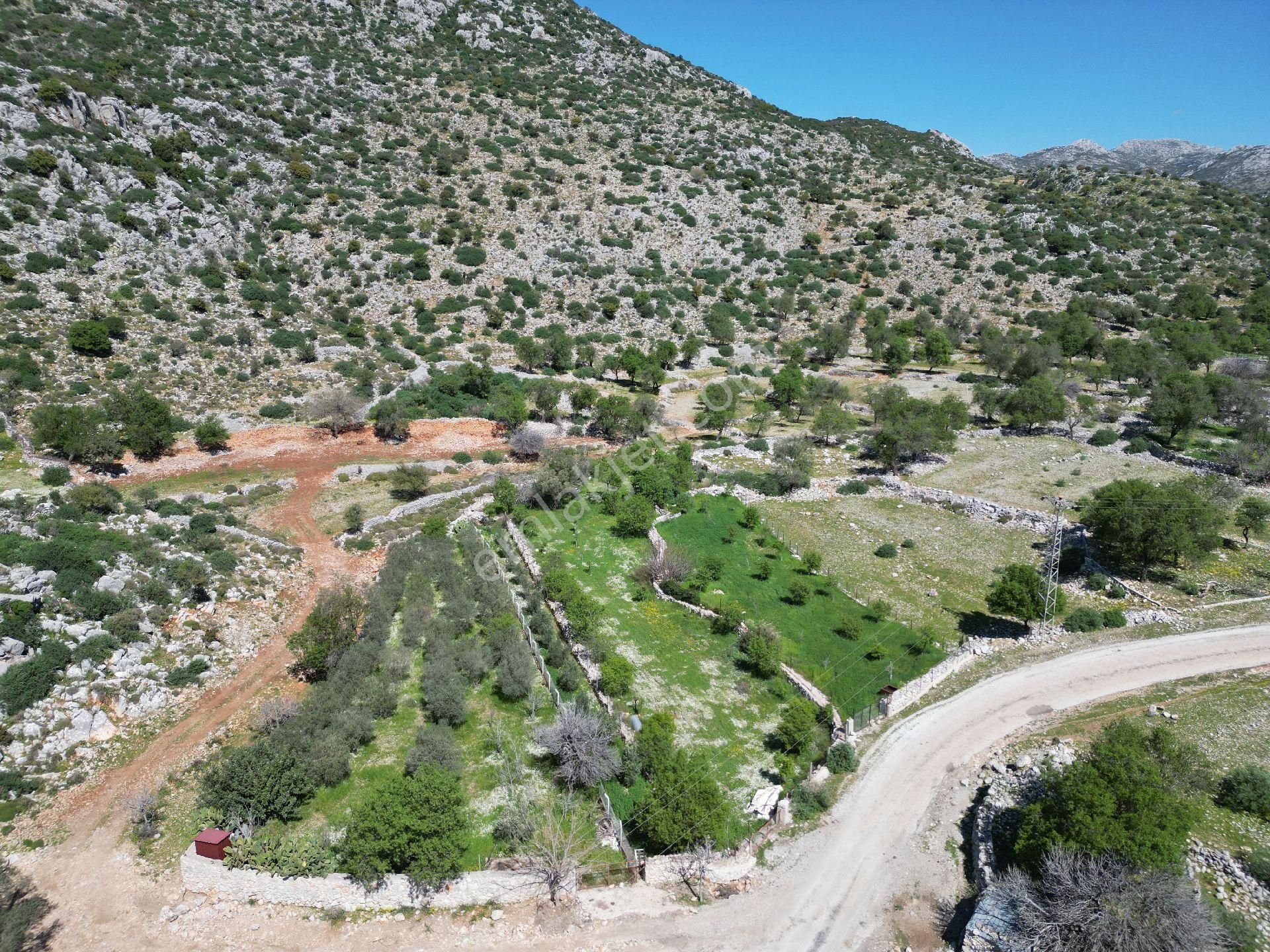 🔷joker: Marmaris Taşlıca Resmi Yol Cepheli Satılık Tarla - Görsel 6