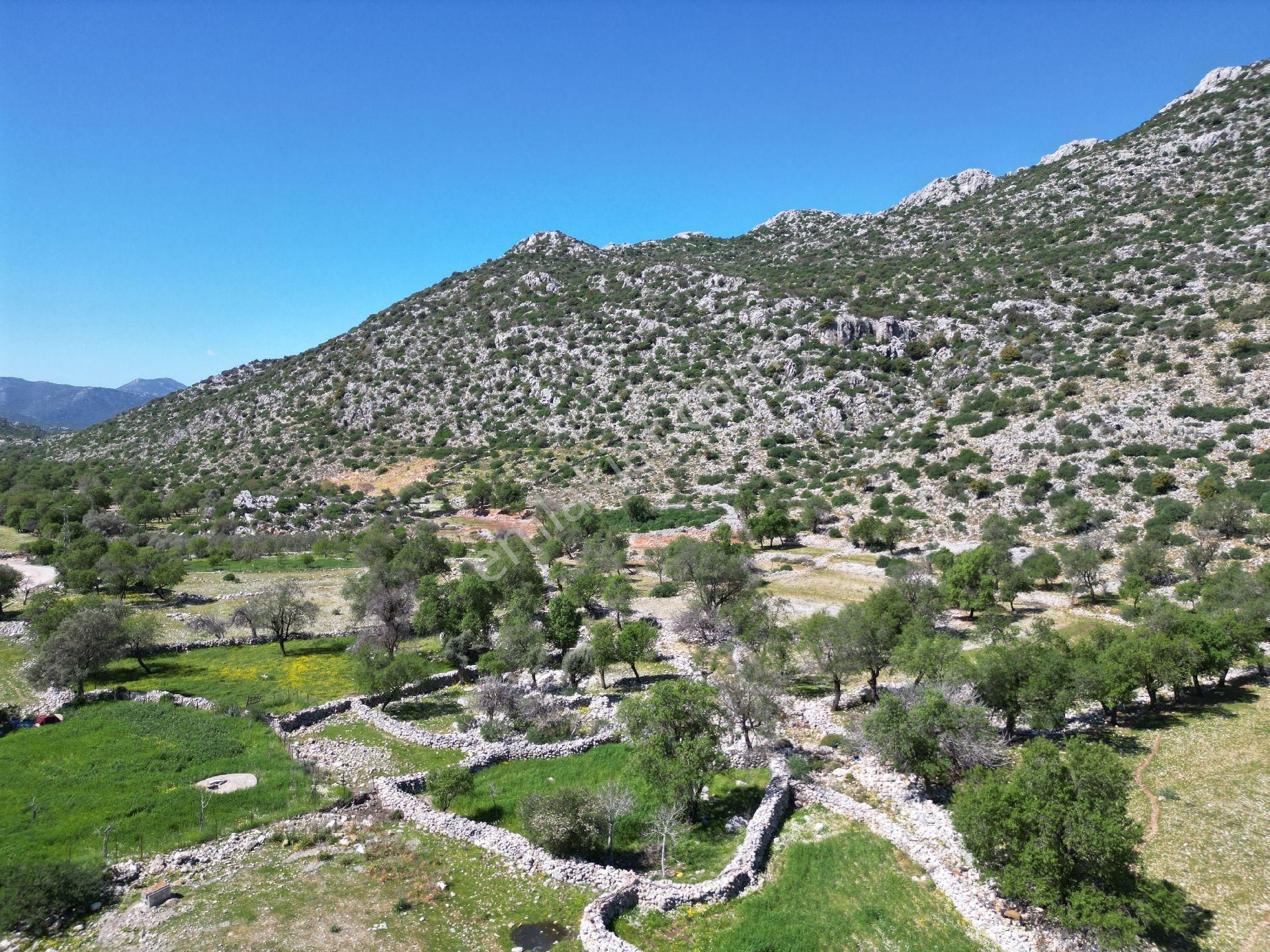 🔷joker: Marmaris Taşlıca Resmi Yol Cepheli Satılık Tarla - Görsel 8