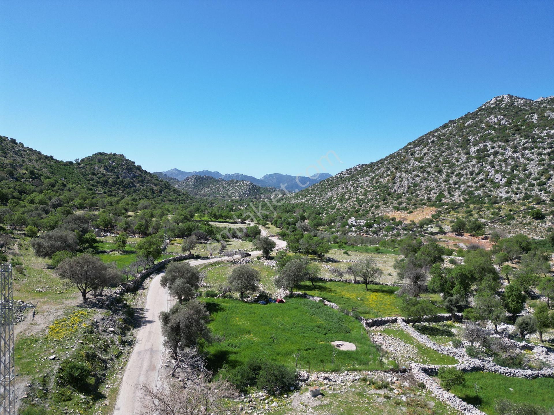 🔷joker: Marmaris Taşlıca Resmi Yol Cepheli Satılık Tarla - Görsel 3