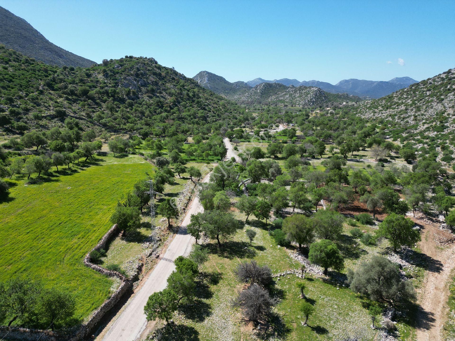 🔷joker: Marmaris Taşlıca Resmi Yol Cepheli Satılık Tarla - Görsel 2