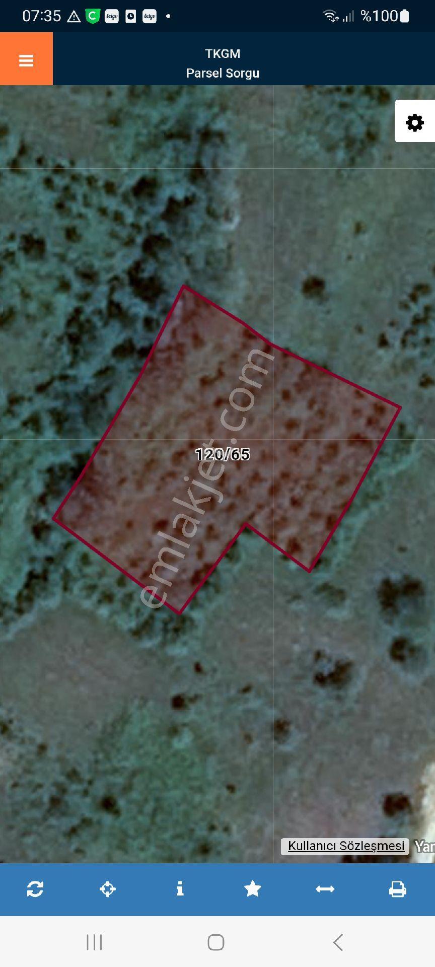 Bağ-bahçe-ev - Görsel 3