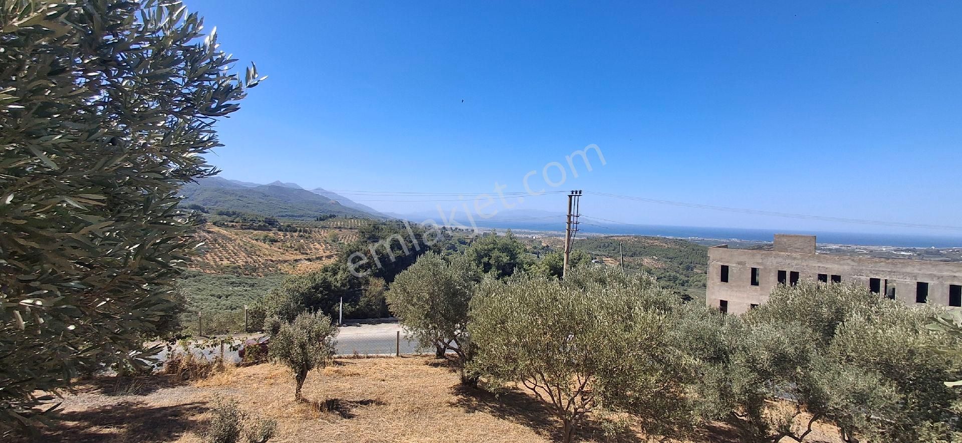 Ağaçli Deniz Manzaralı İmar Kapsamında Zeytinlik - Görsel 11