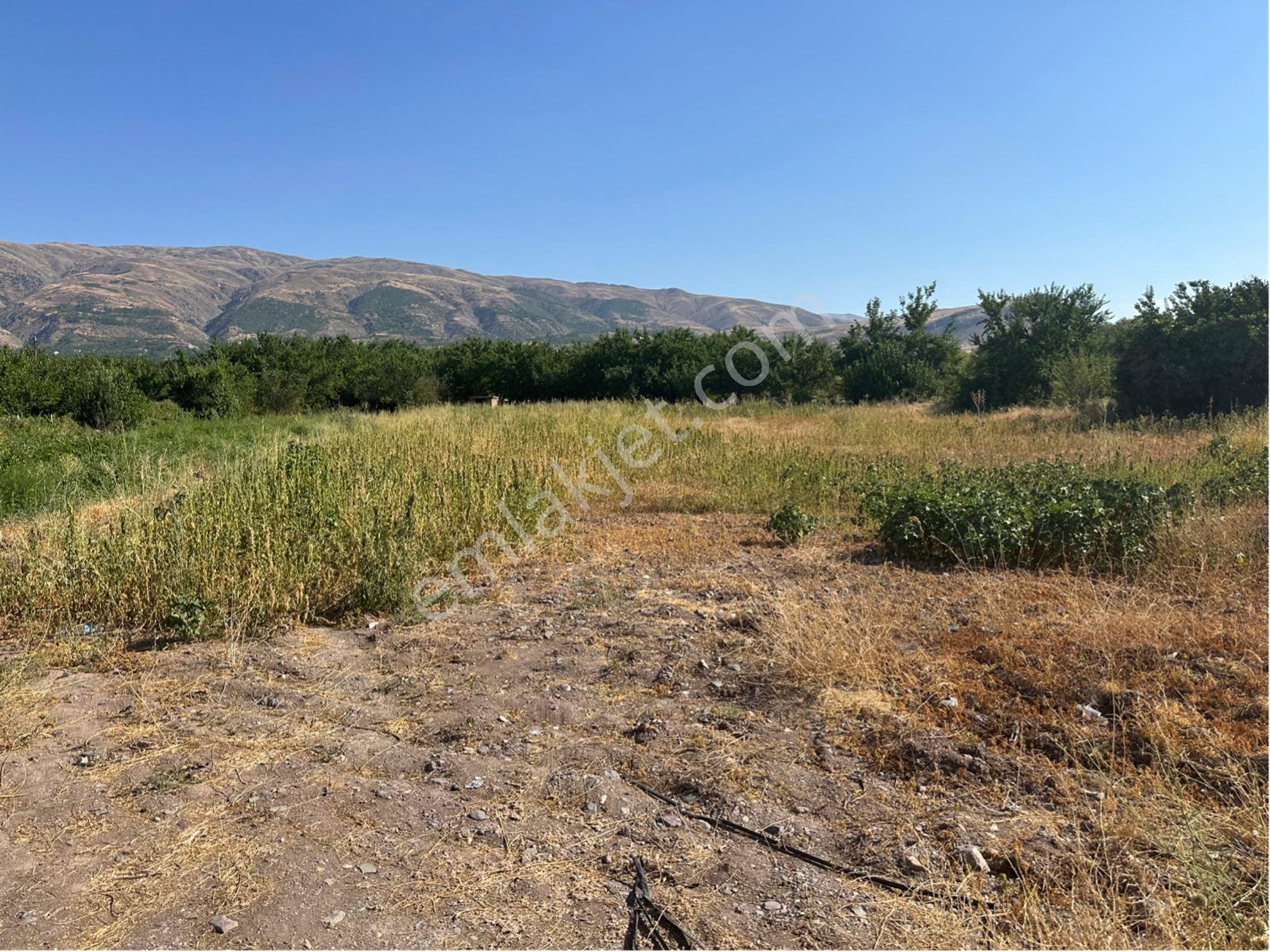 Furkan Doğan’dan Malatya Elazığ Yoluna Sıfır 2.500 M2 Satılık Tarla - Görsel 4
