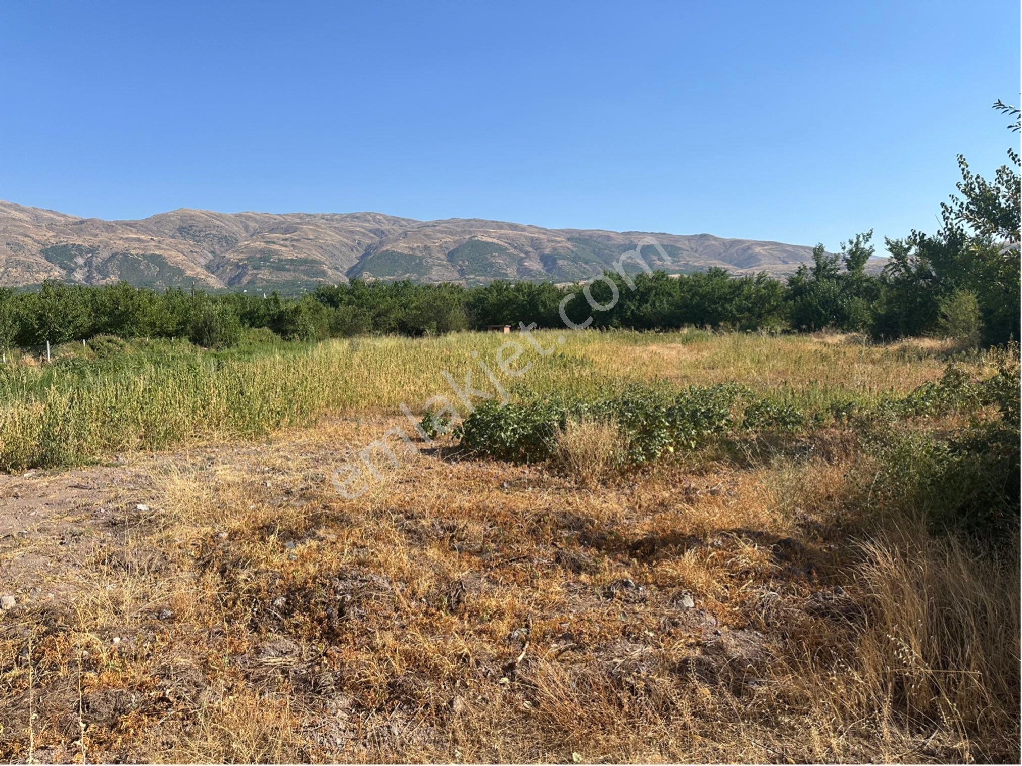Furkan Doğan’dan Malatya Elazığ Yoluna Sıfır 2.500 M2 Satılık Tarla - Görsel 2