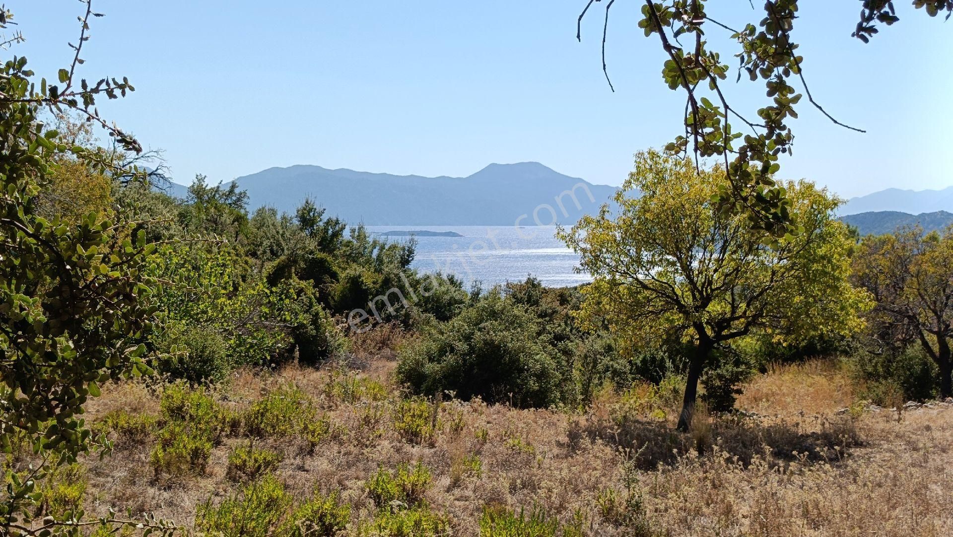 🔷joker: Marmaris Söğüt Deniz Manzaralı Satılık Tarla - Görsel 6