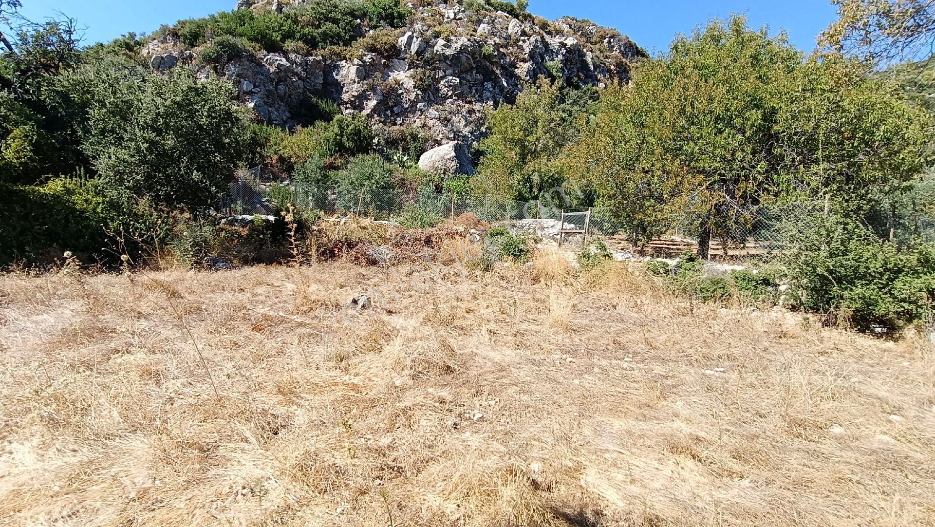 🔷joker: Marmaris Söğüt Deniz Manzaralı Satılık Tarla - Görsel 19