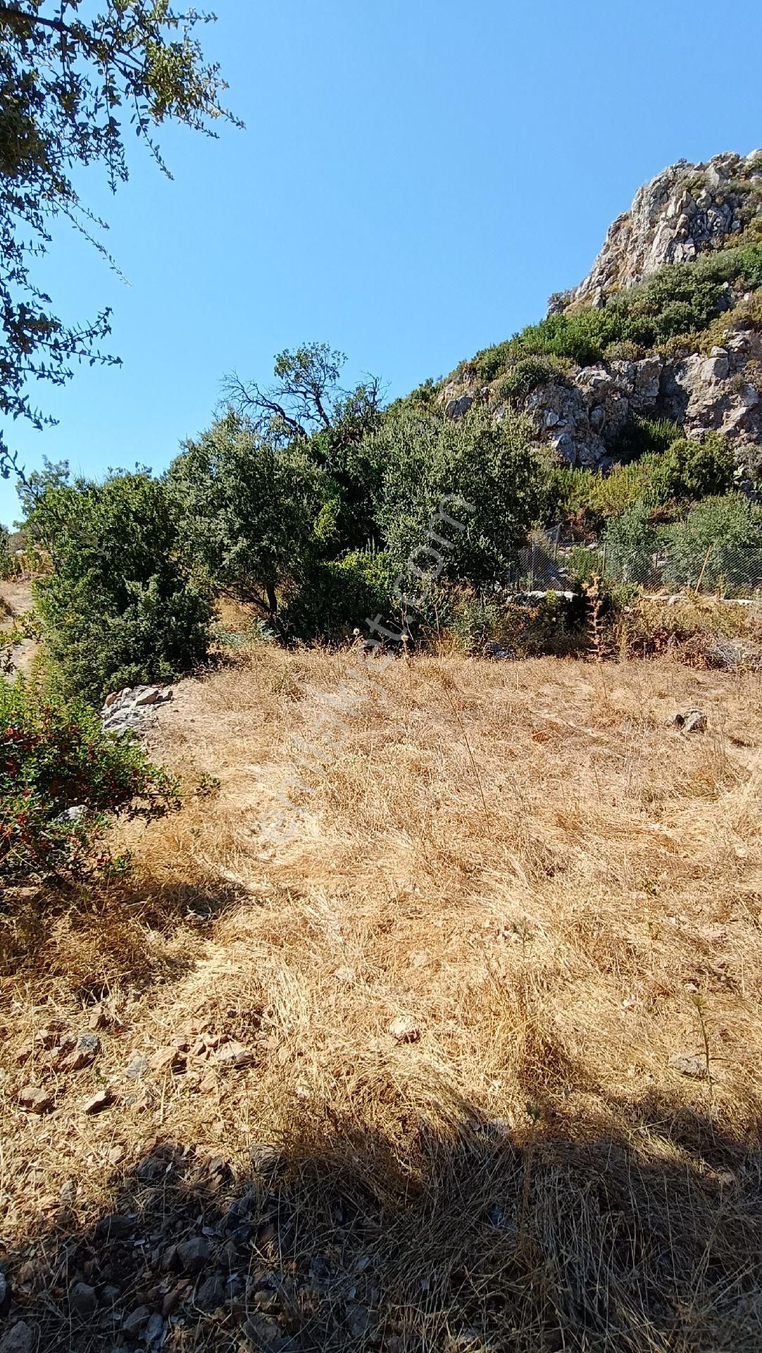 🔷joker: Marmaris Söğüt Deniz Manzaralı Satılık Tarla - Görsel 21