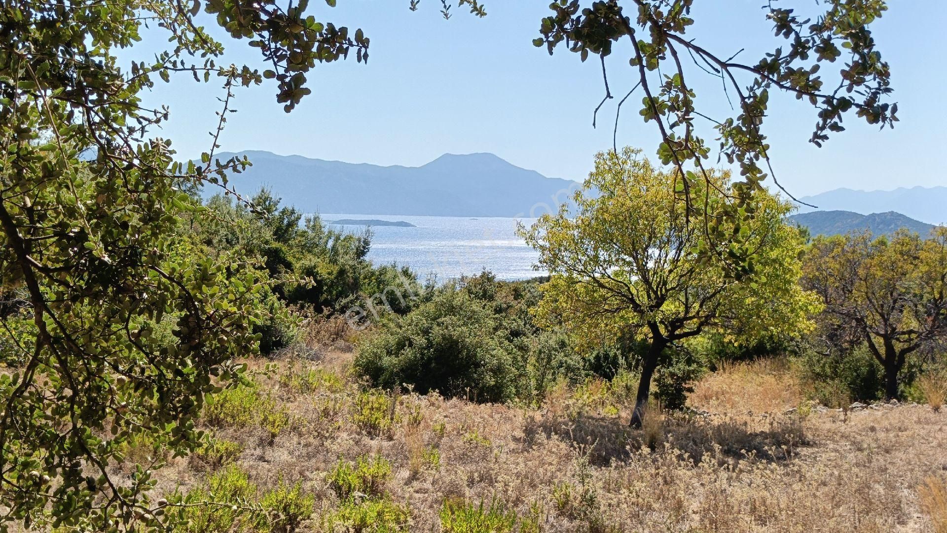 🔷joker: Marmaris Söğüt Deniz Manzaralı Satılık Tarla