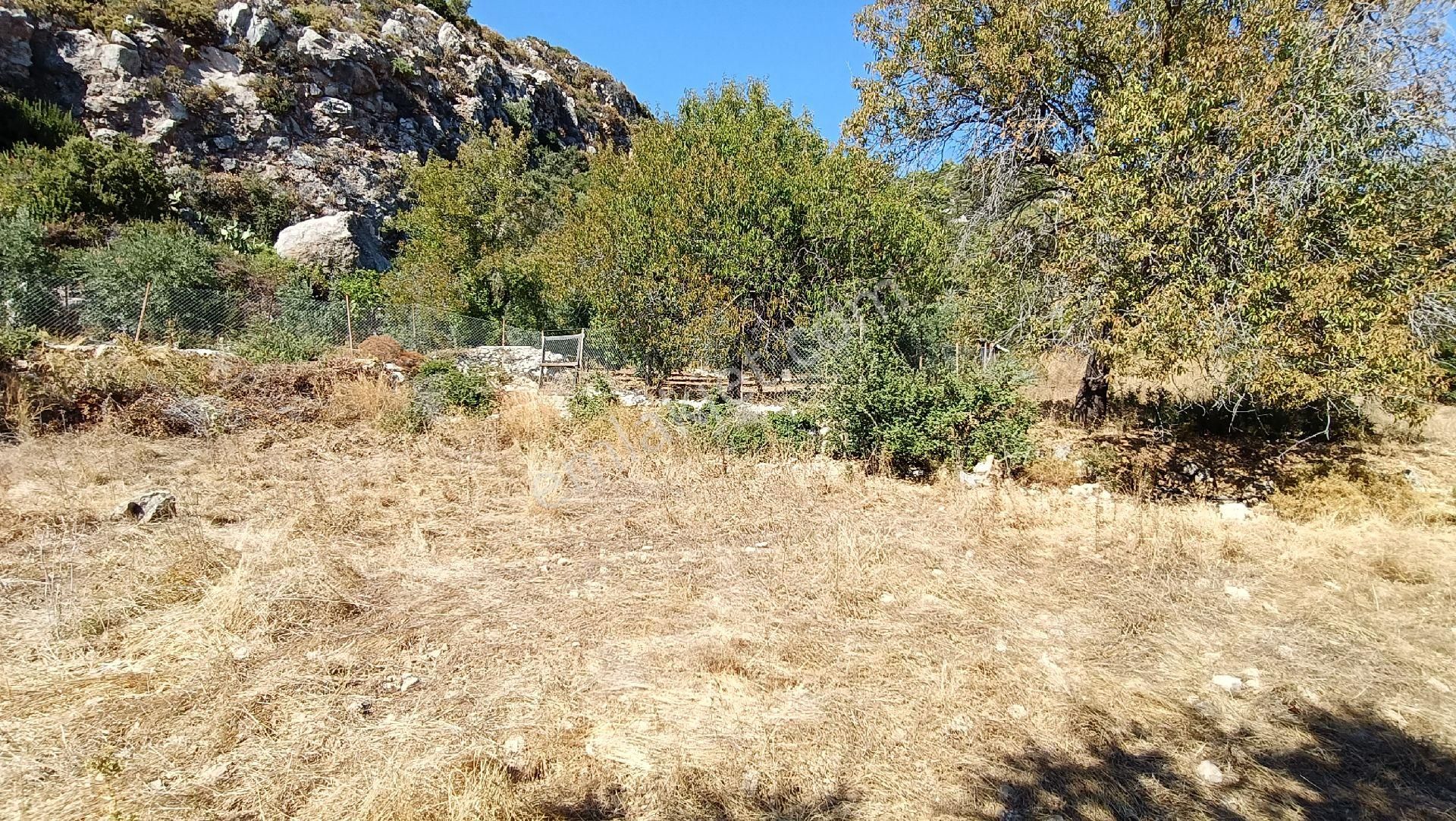 🔷joker: Marmaris Söğüt Deniz Manzaralı Satılık Tarla - Görsel 18