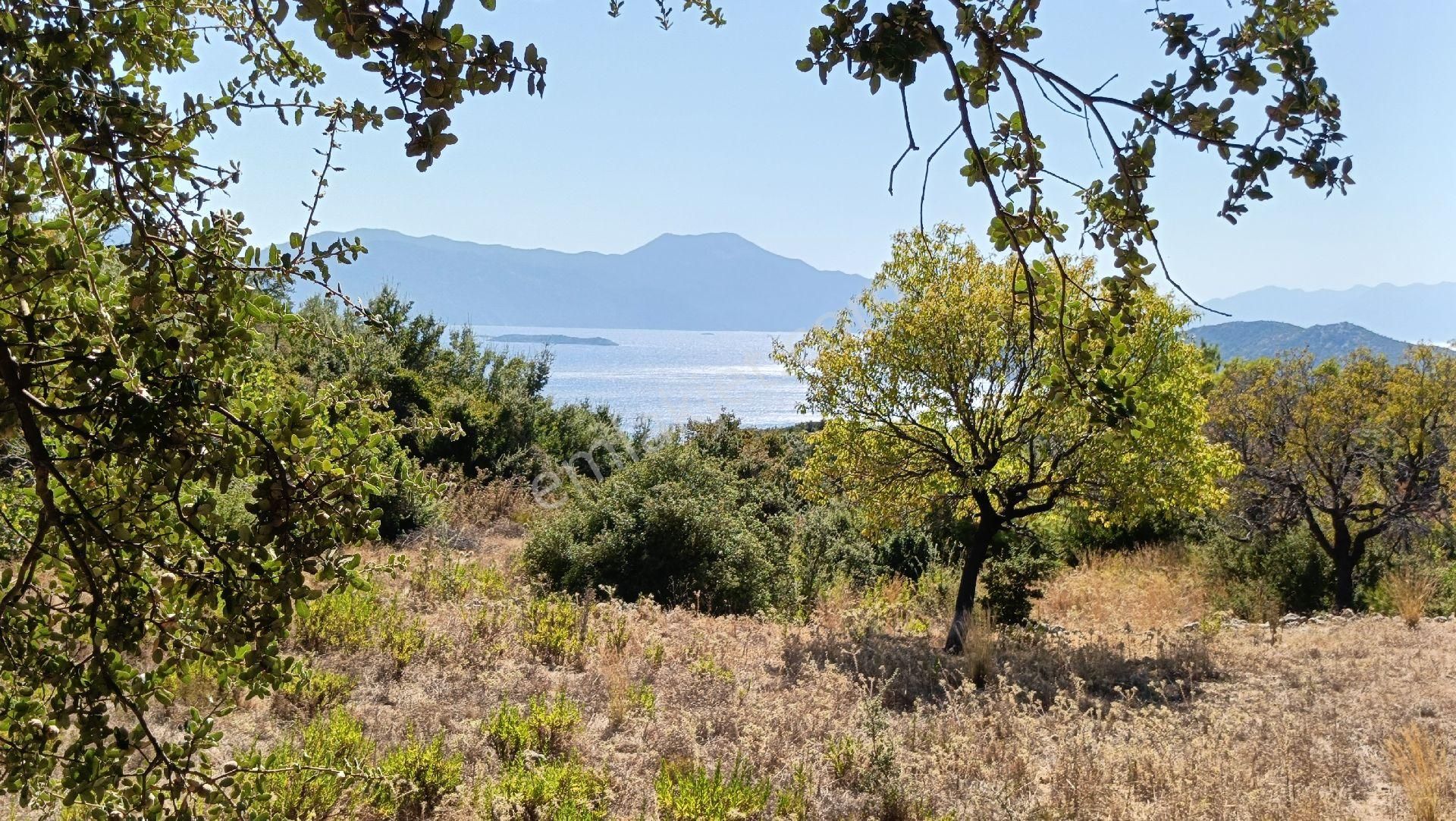 🔷joker: Marmaris Söğüt Deniz Manzaralı Satılık Tarla - Görsel 13