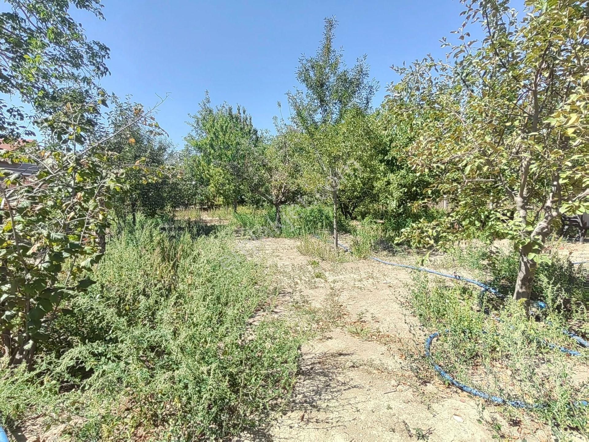 Nasreddin Emlaktan Doğrugözde Satılık Bahçe - Görsel 8