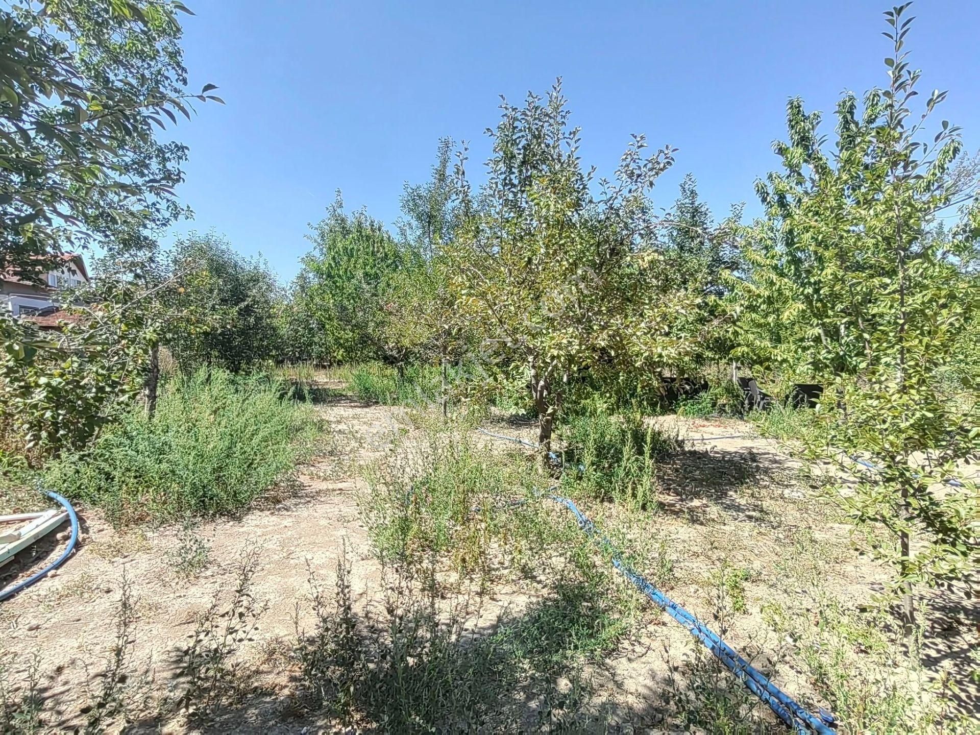 Nasreddin Emlaktan Doğrugözde Satılık Bahçe