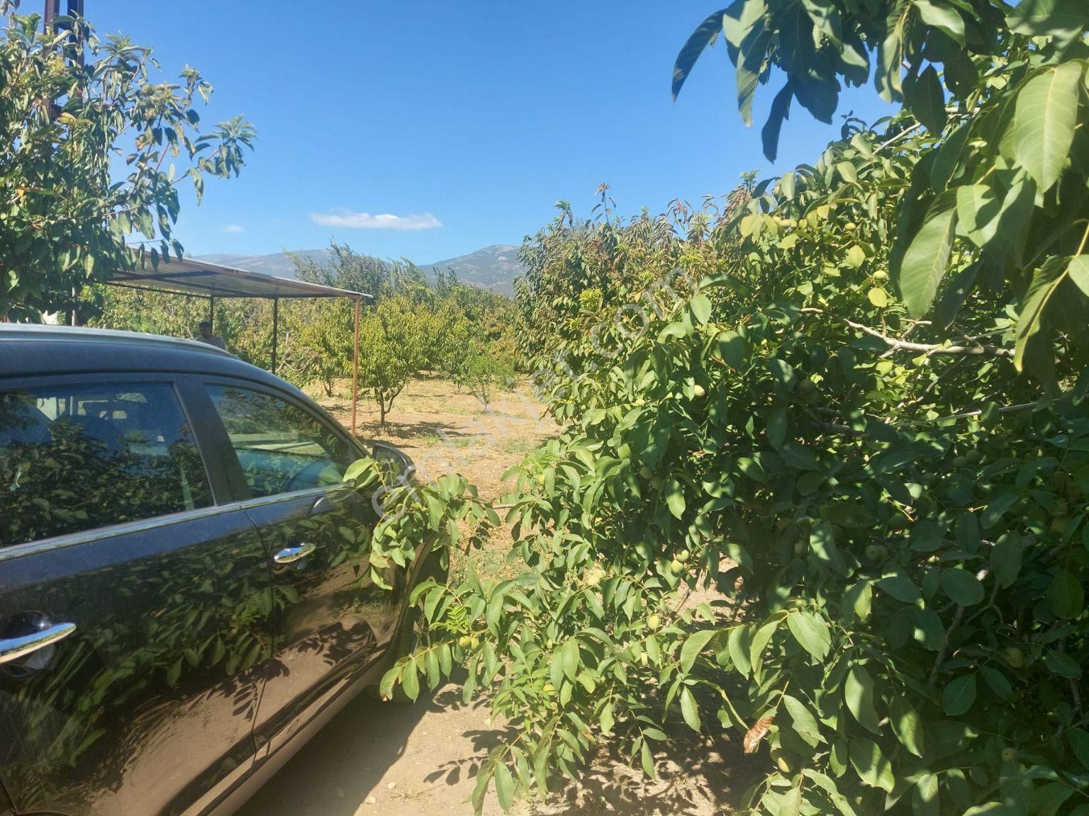 Yukarı Kızılca'da Yatırımlık Fırsat! 7.400 M² Mükemmel Konumda Bahçe Satılık - Görsel 12