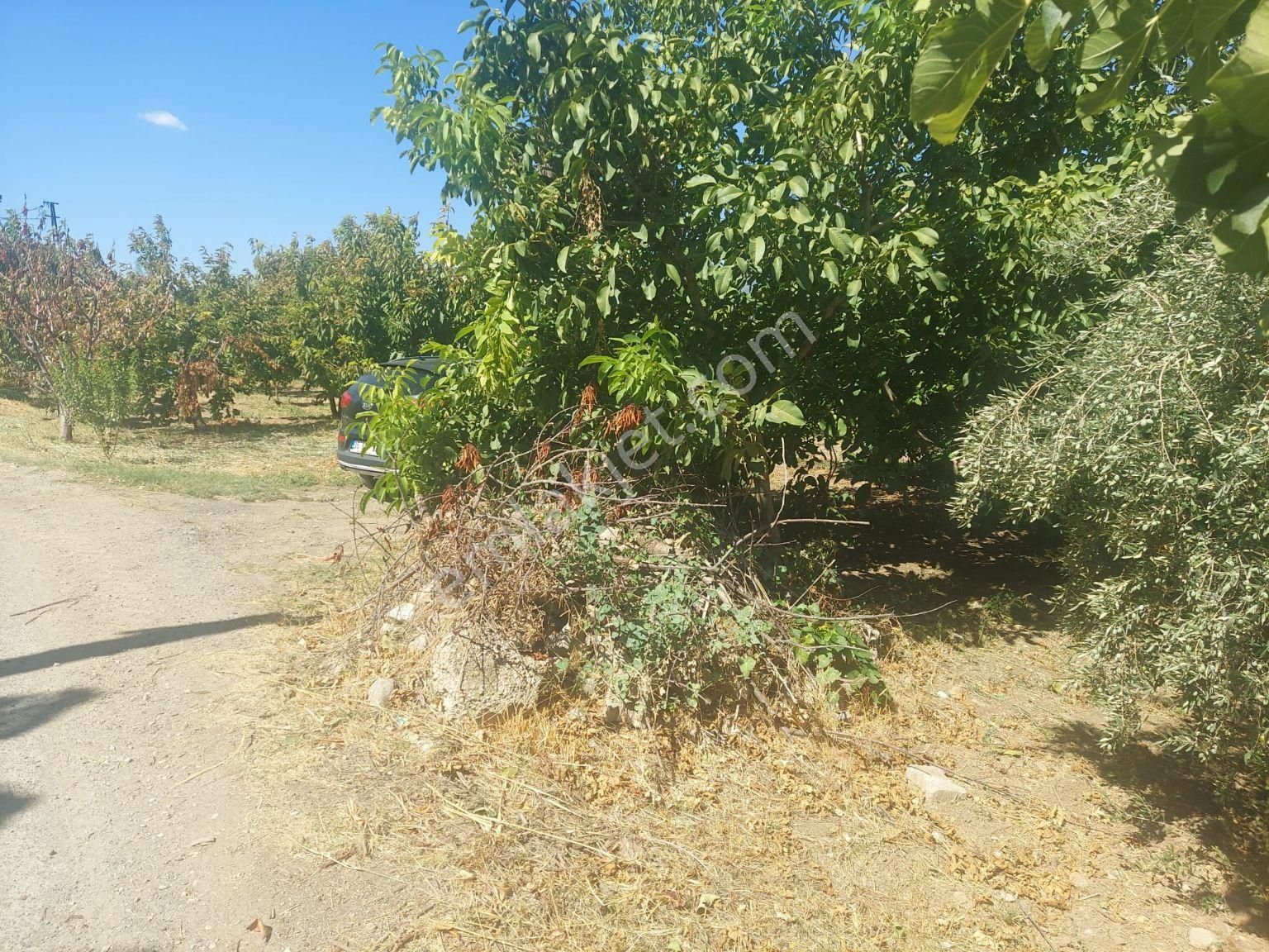 Yukarı Kızılca'da Yatırımlık Fırsat! 7.400 M² Mükemmel Konumda Bahçe Satılık - Görsel 13