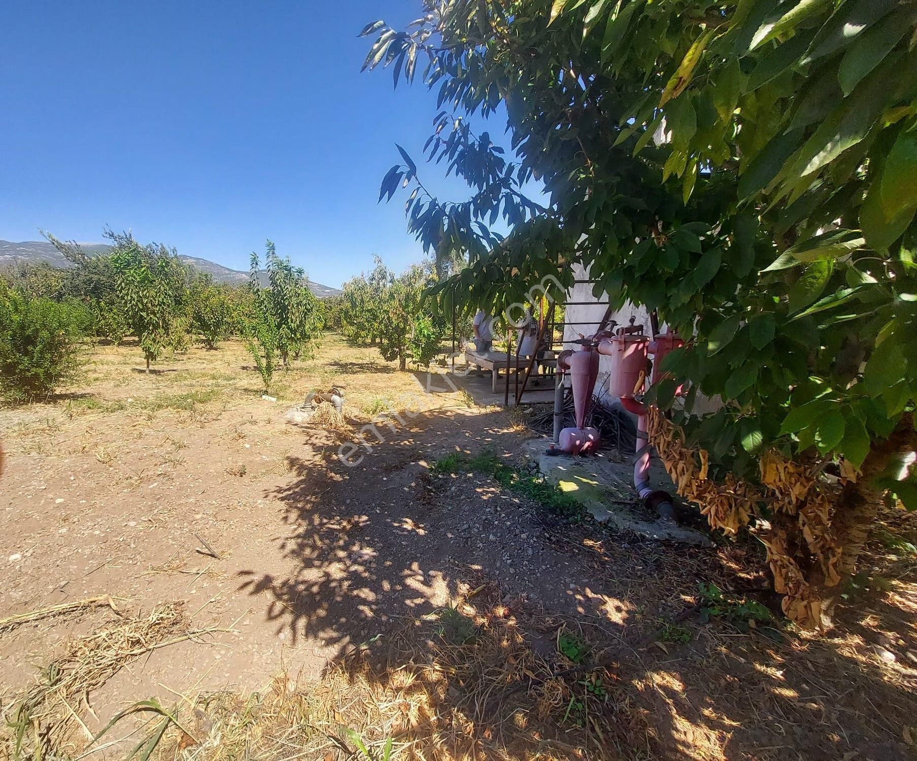 Yukarı Kızılca'da Yatırımlık Fırsat! 7.400 M² Mükemmel Konumda Bahçe Satılık - Görsel 9