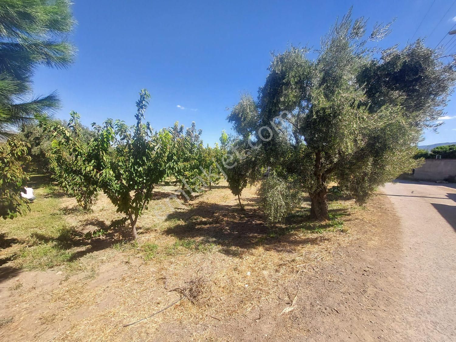 Yukarı Kızılca'da Yatırımlık Fırsat! 7.400 M² Mükemmel Konumda Bahçe Satılık - Görsel 6
