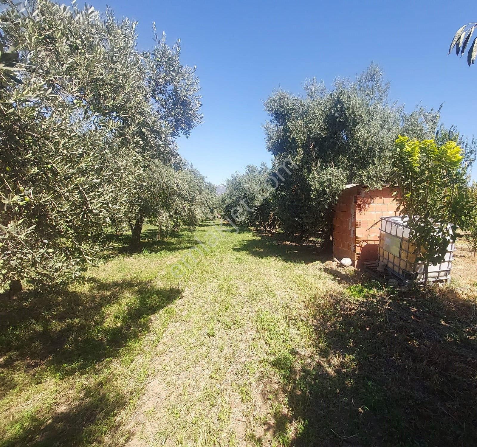 Yukarı Kızılca'da Yatırımlık Fırsat! 7.400 M² Mükemmel Konumda Bahçe Satılık - Görsel 11