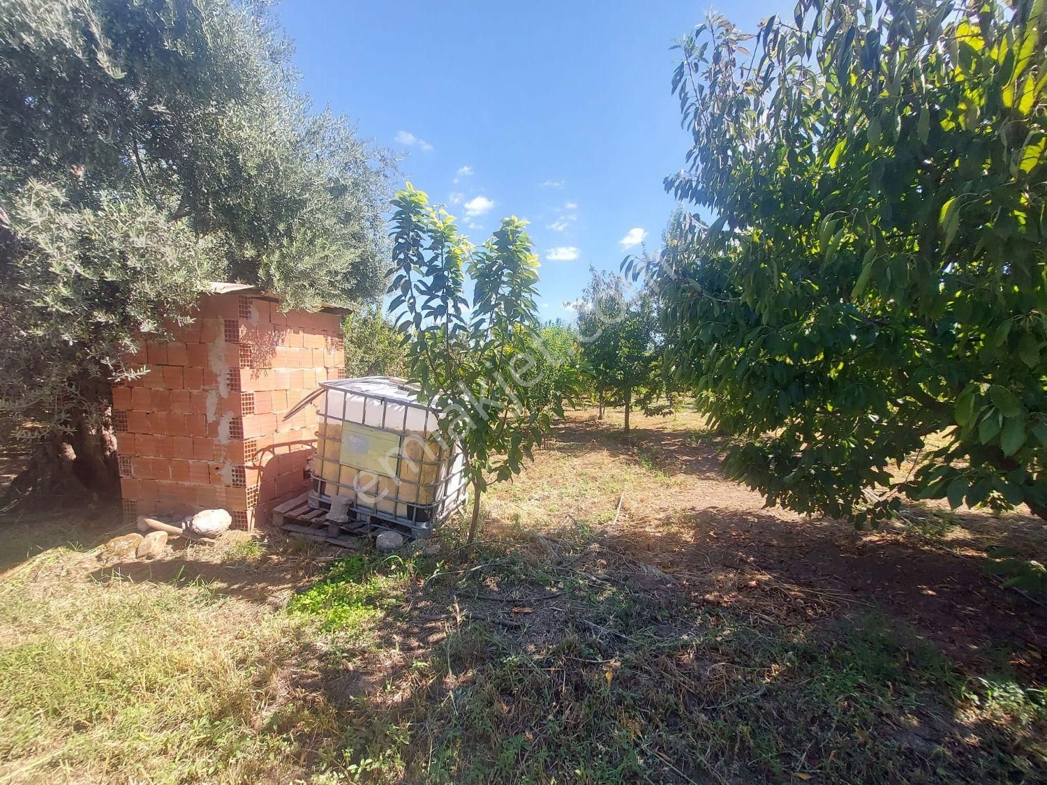 Yukarı Kızılca'da Yatırımlık Fırsat! 7.400 M² Mükemmel Konumda Bahçe Satılık - Görsel 4