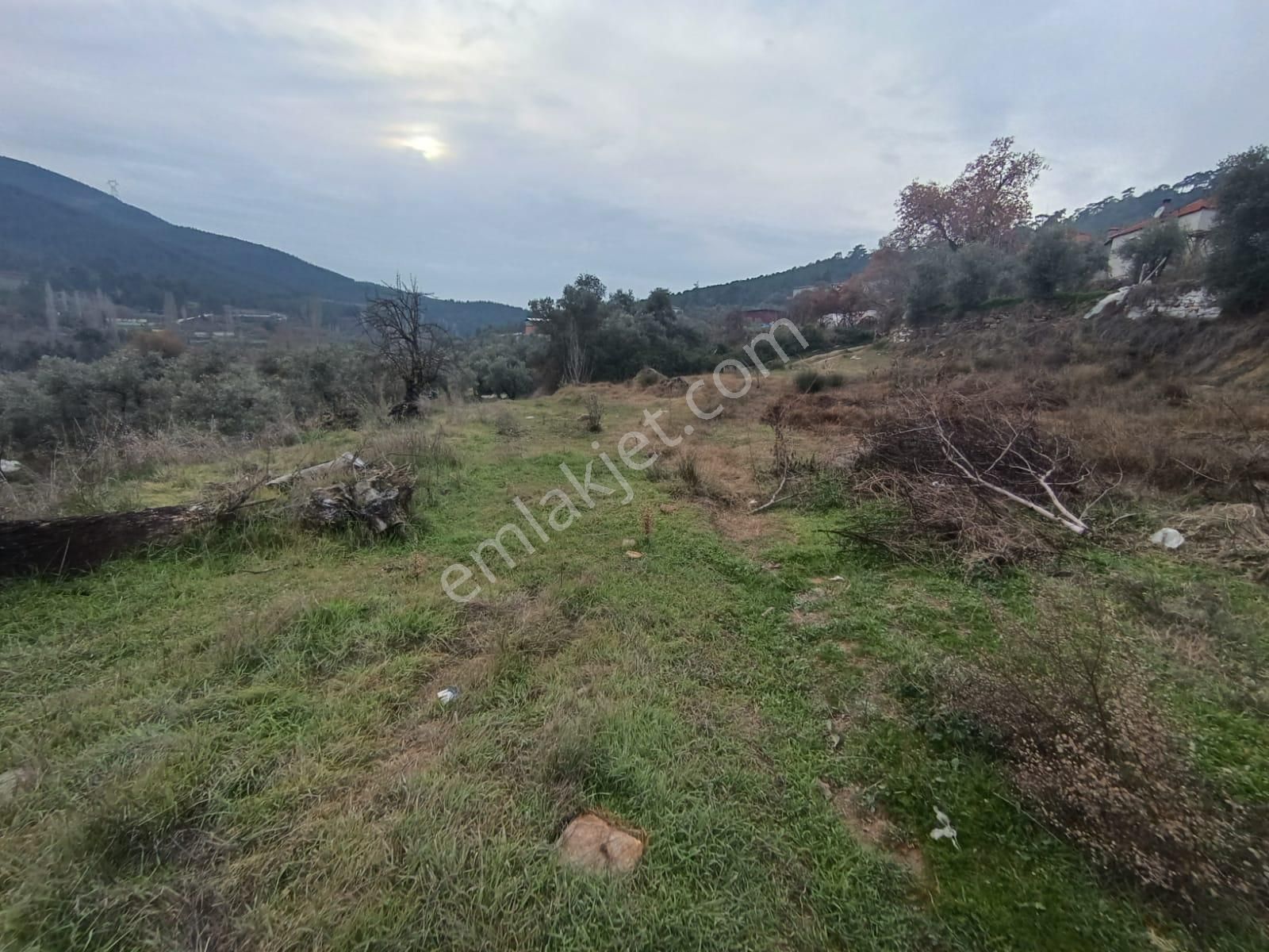 Muğla, Kavaklıdere, Yeşilköy'de Satılık Köy İçi İmarlı Arsa... - Görsel 13