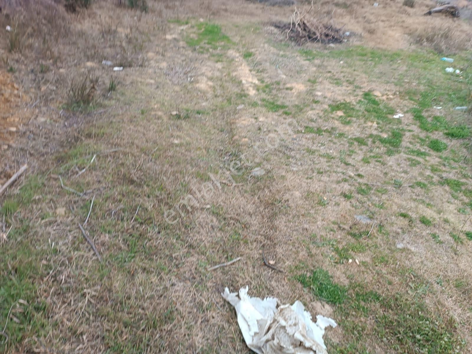 Muğla, Kavaklıdere, Yeşilköy'de Satılık Köy İçi İmarlı Arsa... - Görsel 17