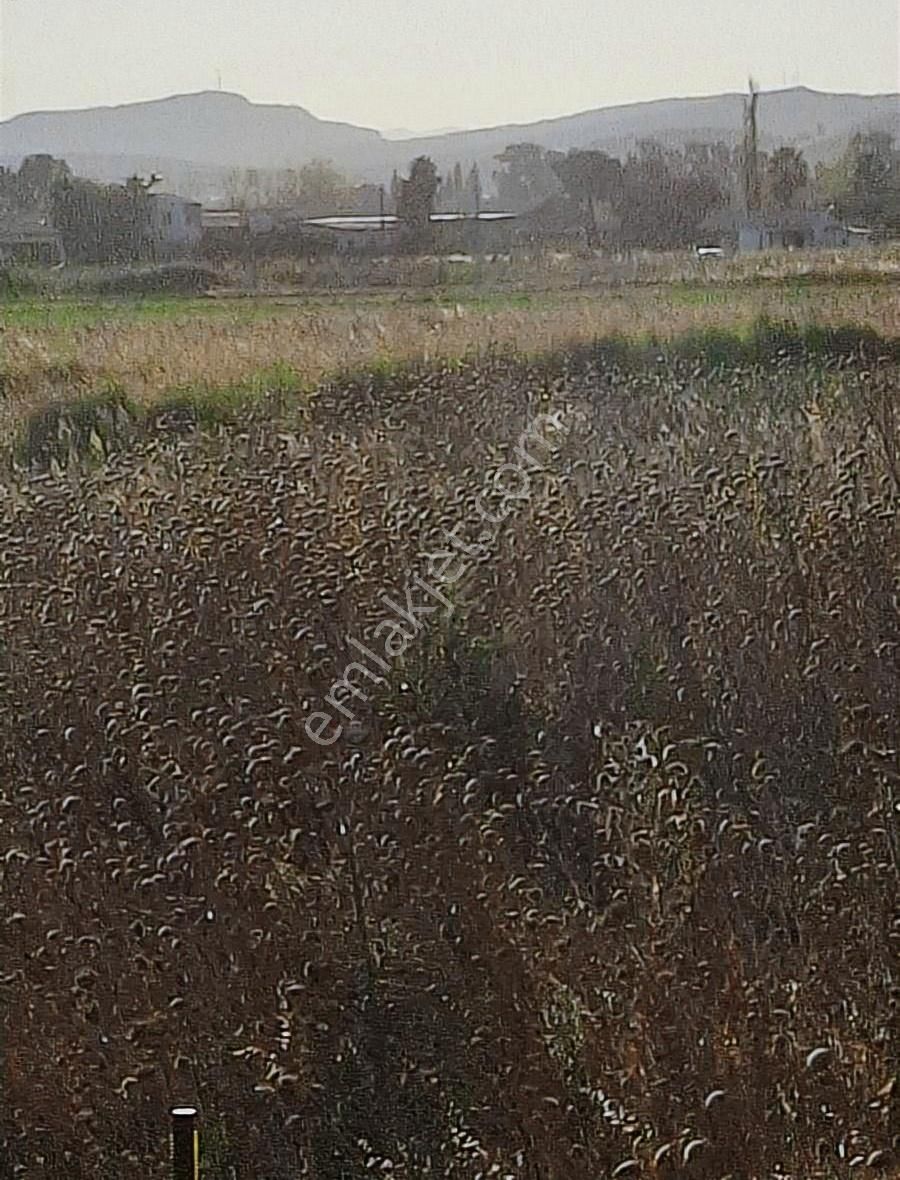 Foça Gerenköyde 600 M2 Kupon Bahçe Acil Satılık - Görsel 10