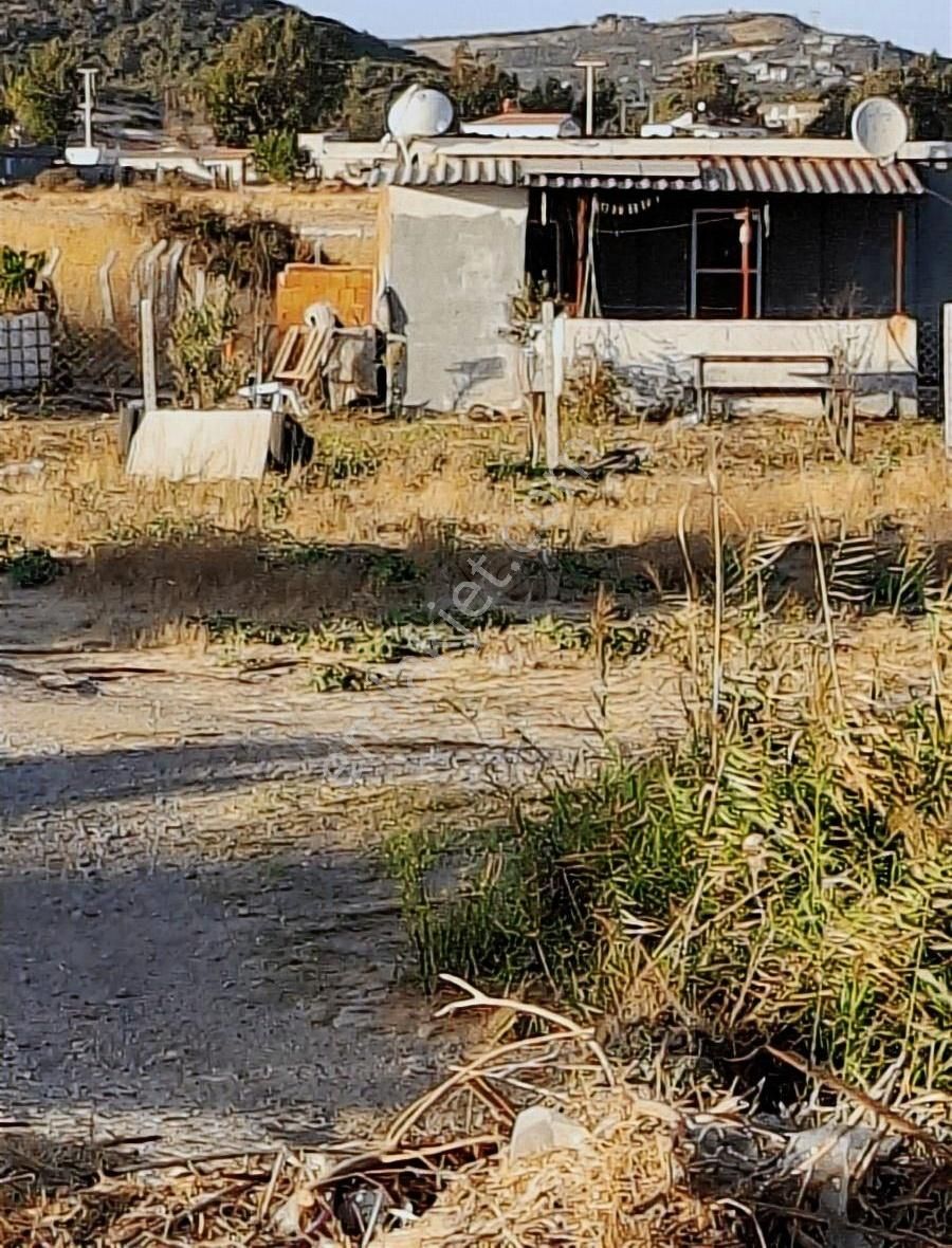 Foça Gerenköyde 600 M2 Kupon Bahçe Acil Satılık - Görsel 2