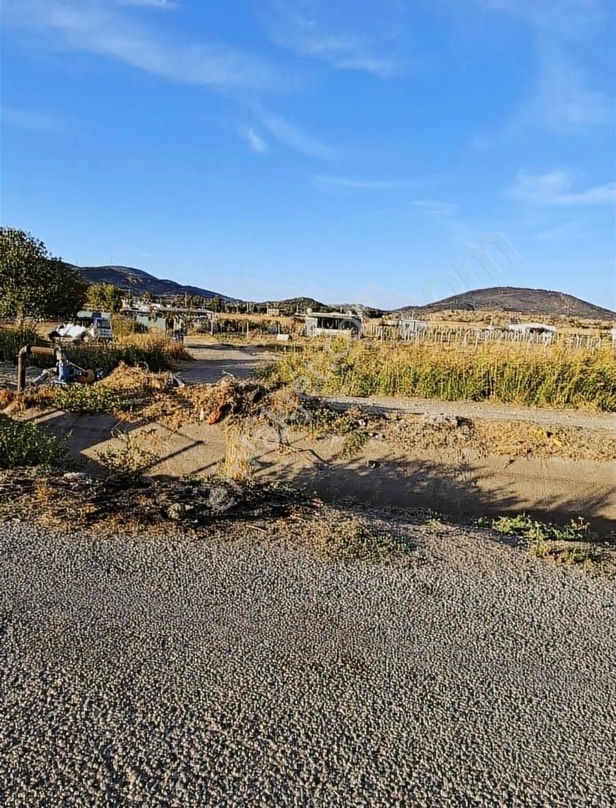 Foça Gerenköyde 600 M2 Kupon Bahçe Acil Satılık - Görsel 14