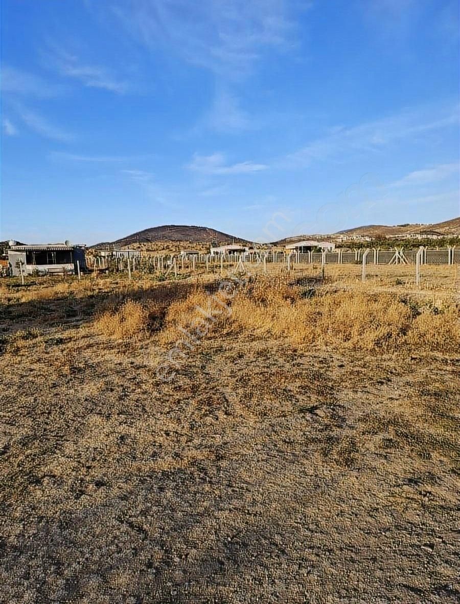 Foça Gerenköyde 600 M2 Kupon Bahçe Acil Satılık - Görsel 11