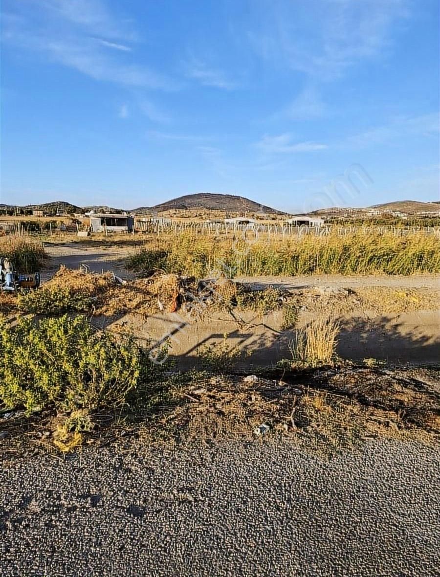 Foça Gerenköyde 600 M2 Kupon Bahçe Acil Satılık - Görsel 9