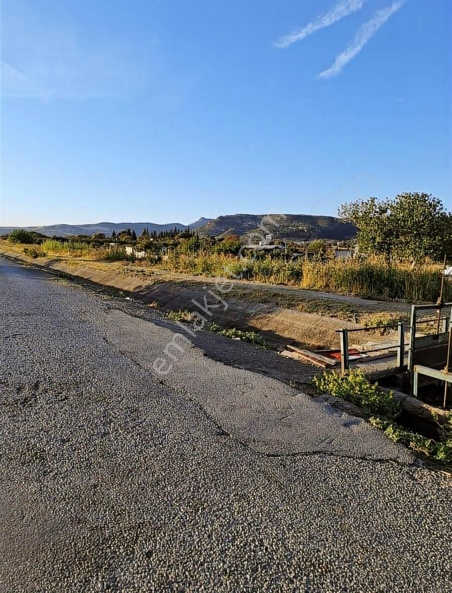 Foça Gerenköyde 600 M2 Kupon Bahçe Acil Satılık - Görsel 24