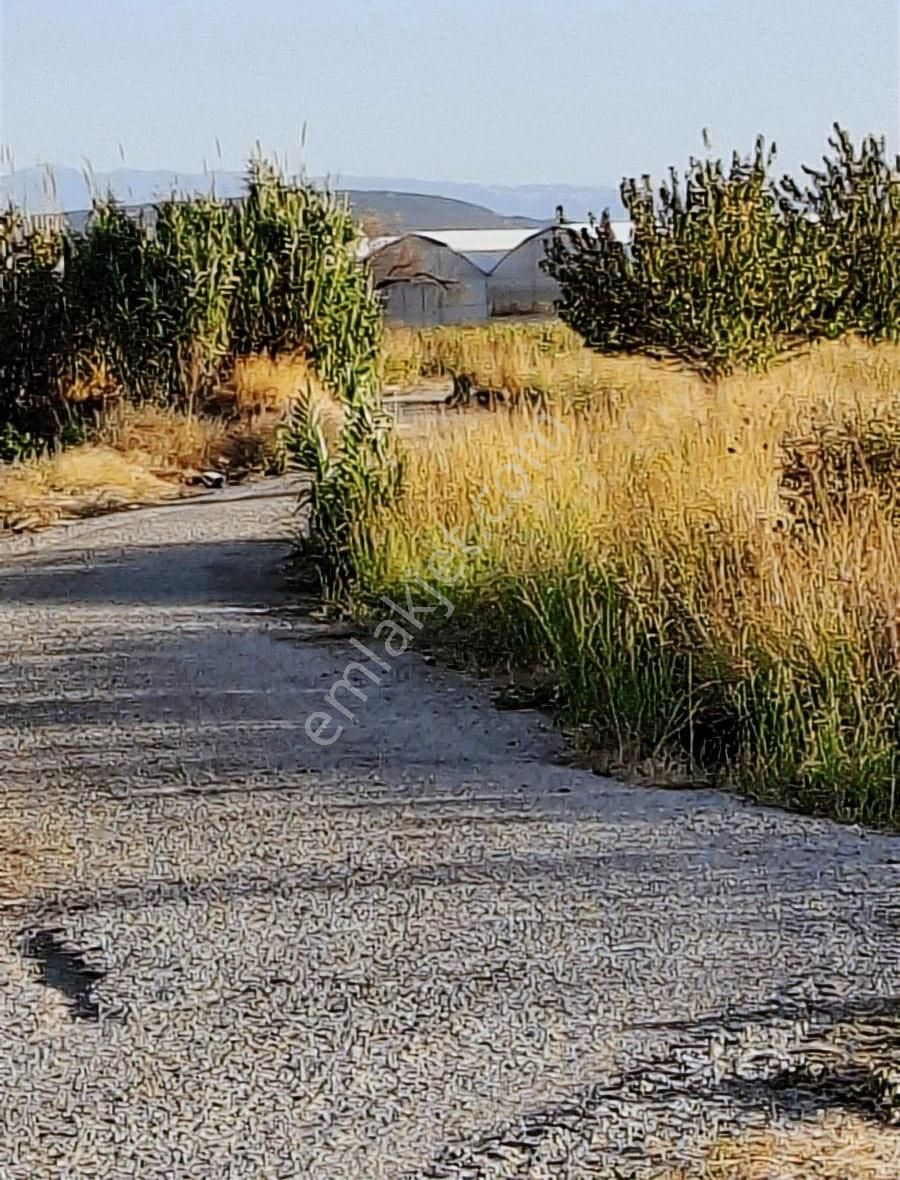 Foça Gerenköyde 600 M2 Kupon Bahçe Acil Satılık - Görsel 17