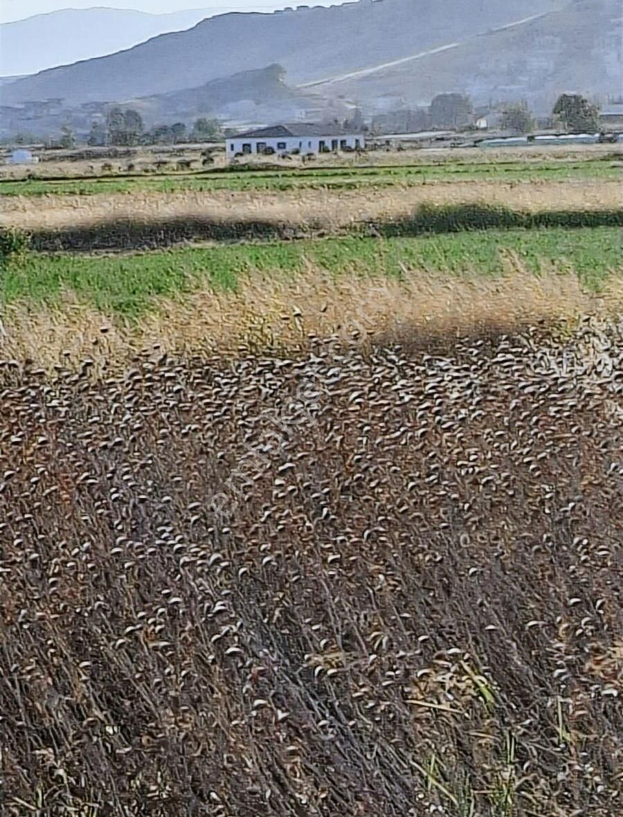 Foça Gerenköyde 600 M2 Kupon Bahçe Acil Satılık - Görsel 18